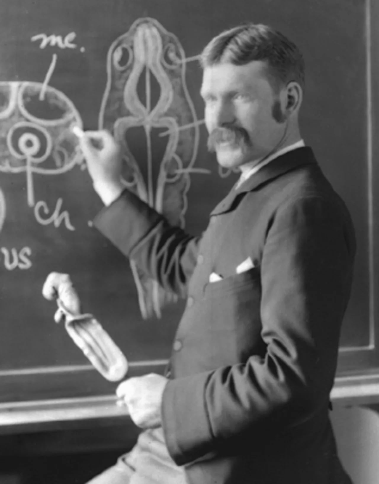 Porträt von Robert Ramsay Wright (1852–1933) – Gedenkseite