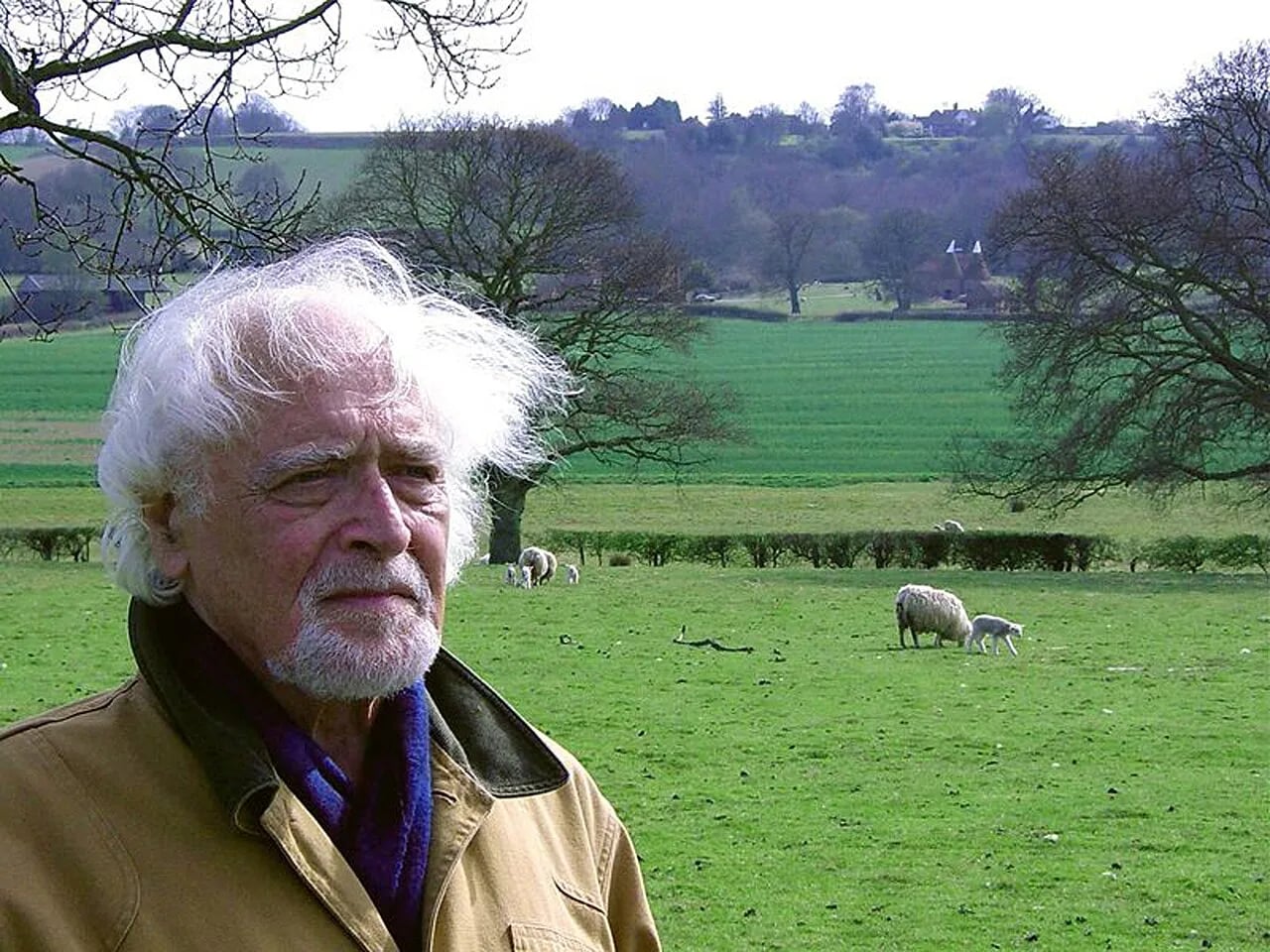 Portrait of Rudi Martinus van Dijk (1932–2003) – memorial page