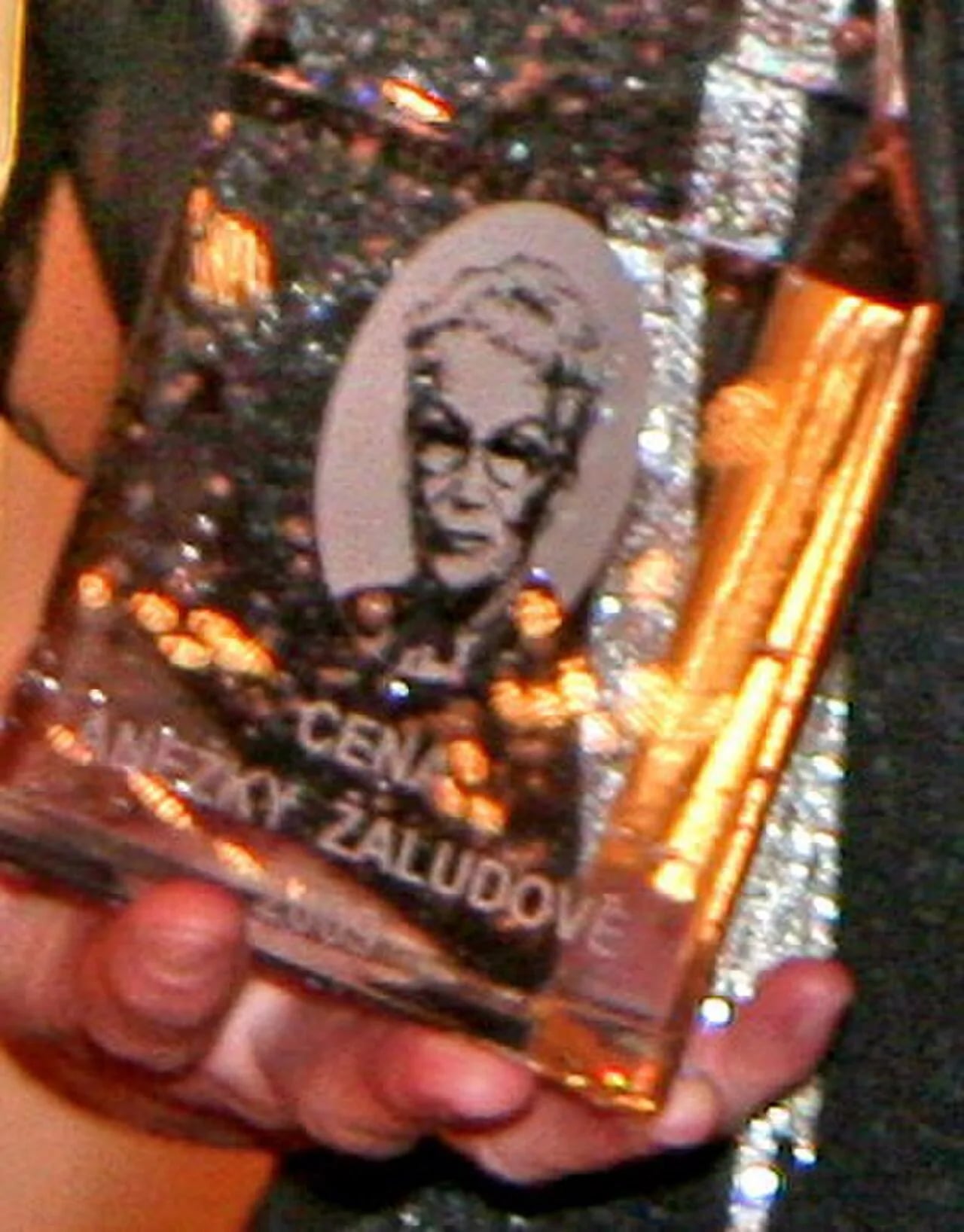 Porträt von Anežka Žaludová (1919–1999) – Gedenkseite