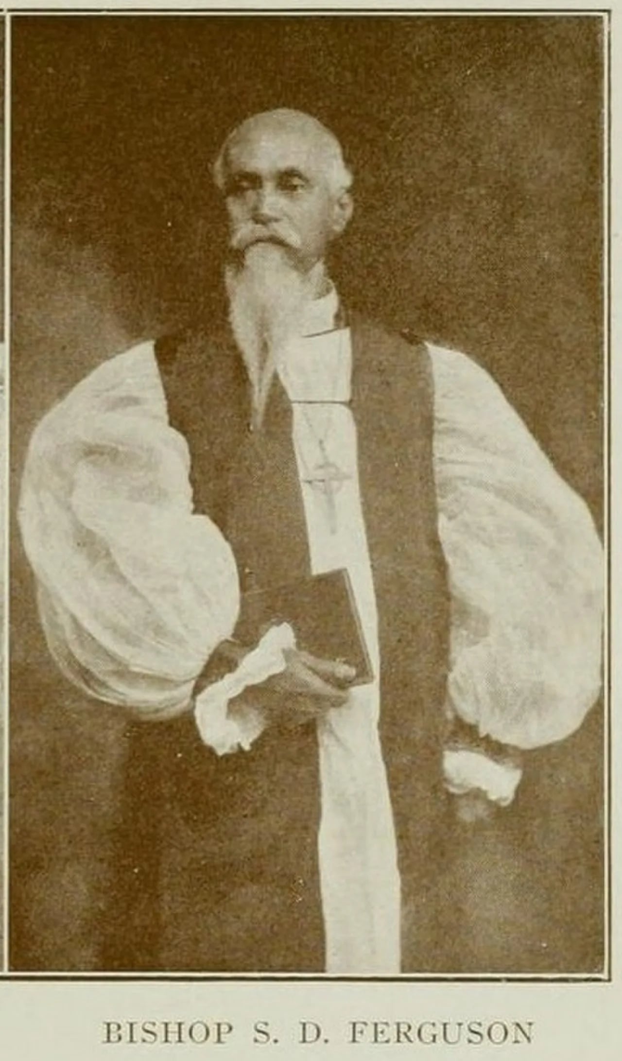 Porträt von Samuel David Ferguson (1842–1916) – Gedenkseite