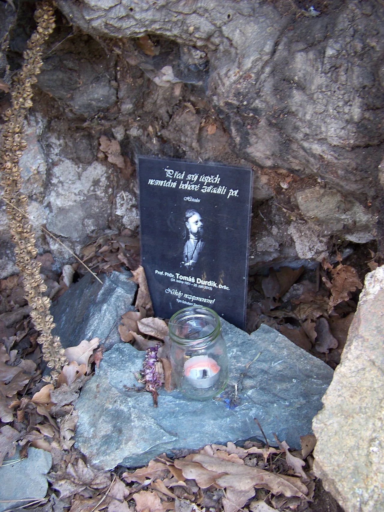 Portrait of Tomáš Durdík (1951–2012) – memorial page