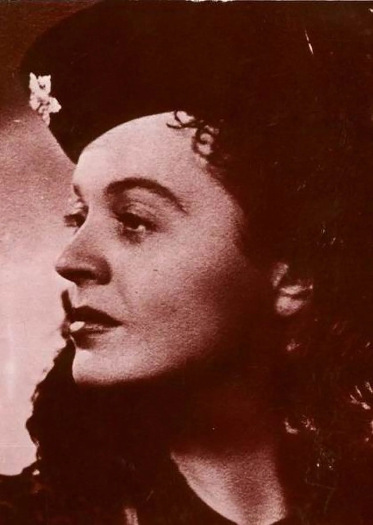 Porträt von Mária Sulyok (1908–1987) – Gedenkseite