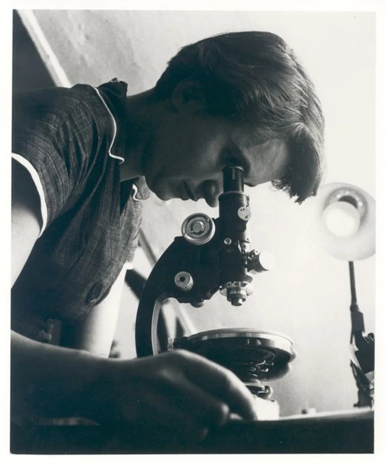Porträt von Rosalind Franklin (1920–1958) – Gedenkseite