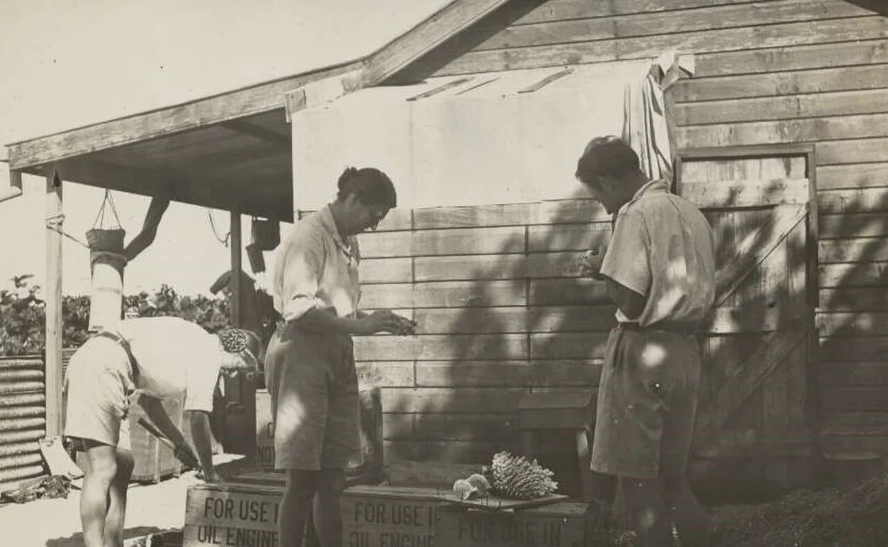 Porträt von Sheina Marshall (1896–1977) – Gedenkseite