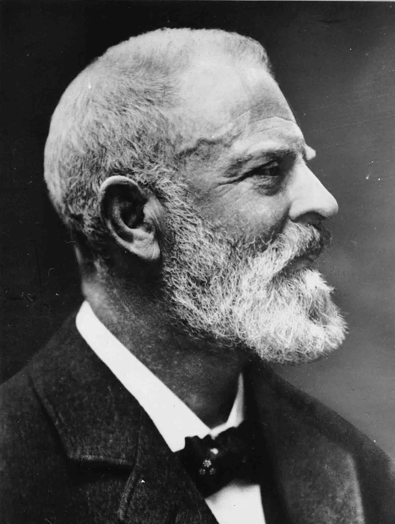 Porträt von Adolph Woermann (1847–1911) – Gedenkseite