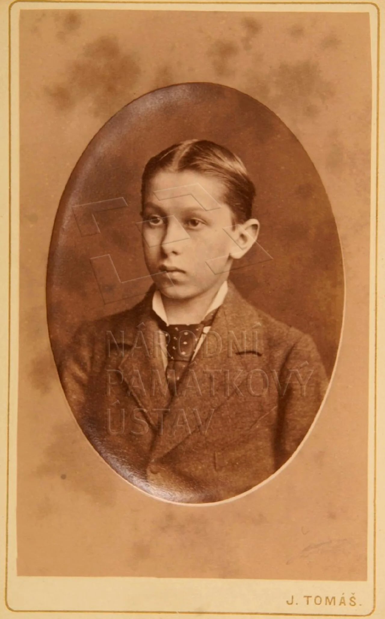 Portrait of Prince Franz Josef of Schaumburg-Lippe (1865–1881) – memorial page