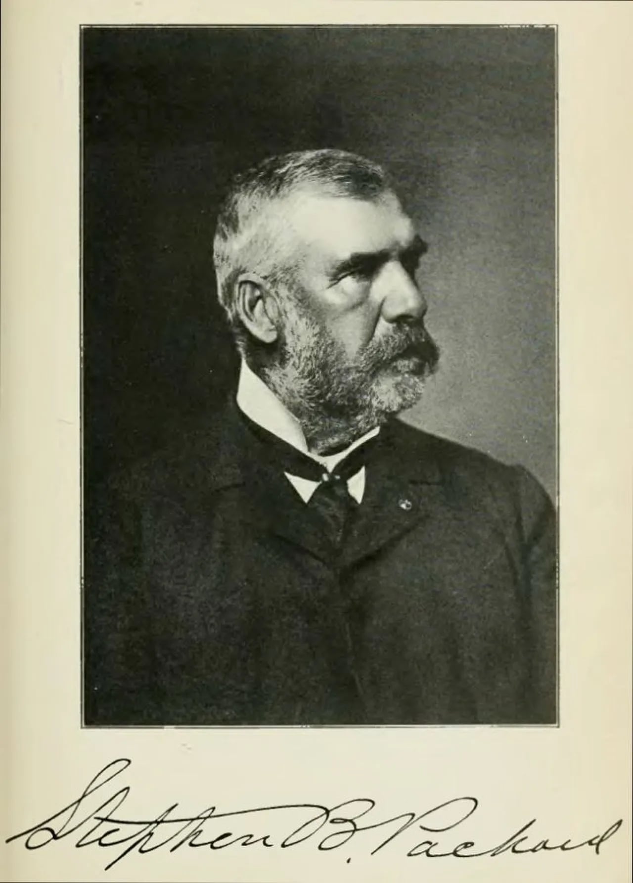 Porträt von Stephen B. Packard (1839–1922) – Gedenkseite