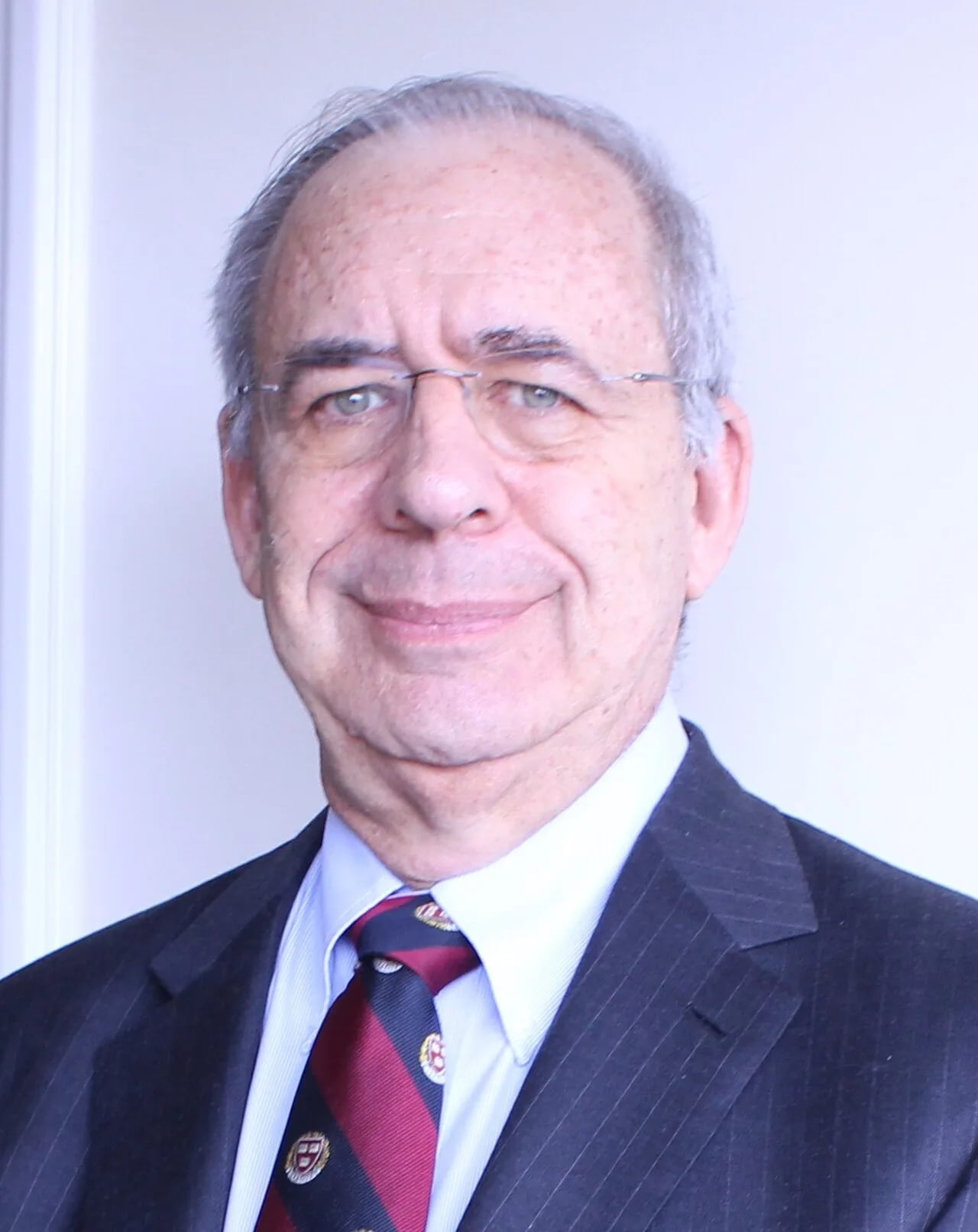 Porträt von Stephen Kanitz (1946–2025) – Gedenkseite