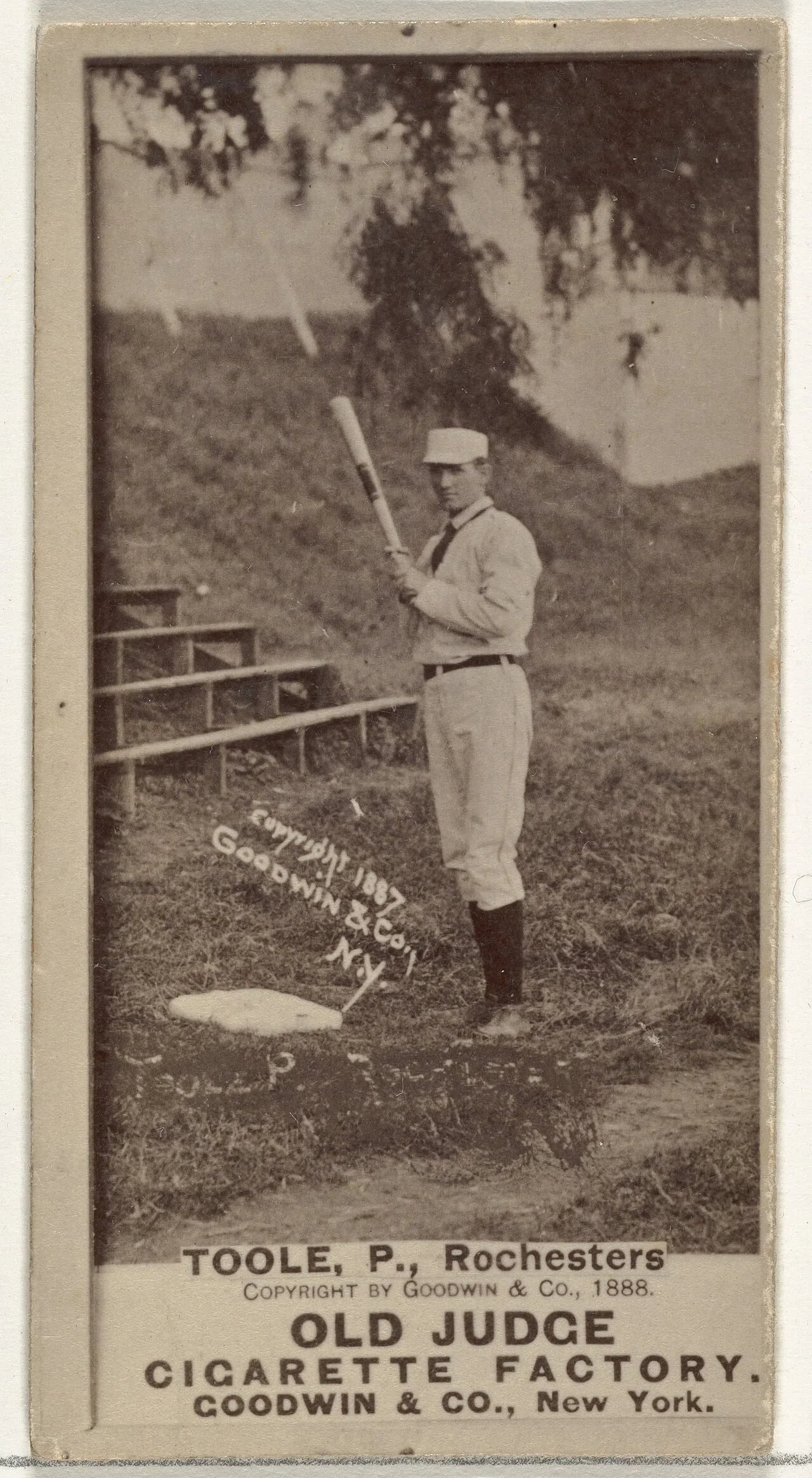 Portrait of Steve Toole (1859–1919) – memorial page