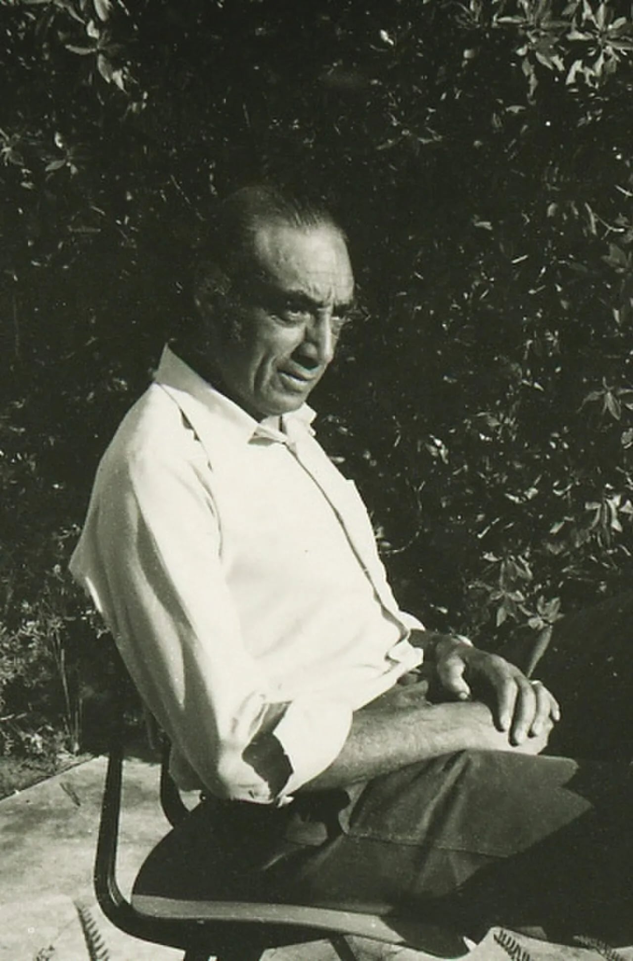 Porträt von Sá Nogueira (1921–2002) – Gedenkseite