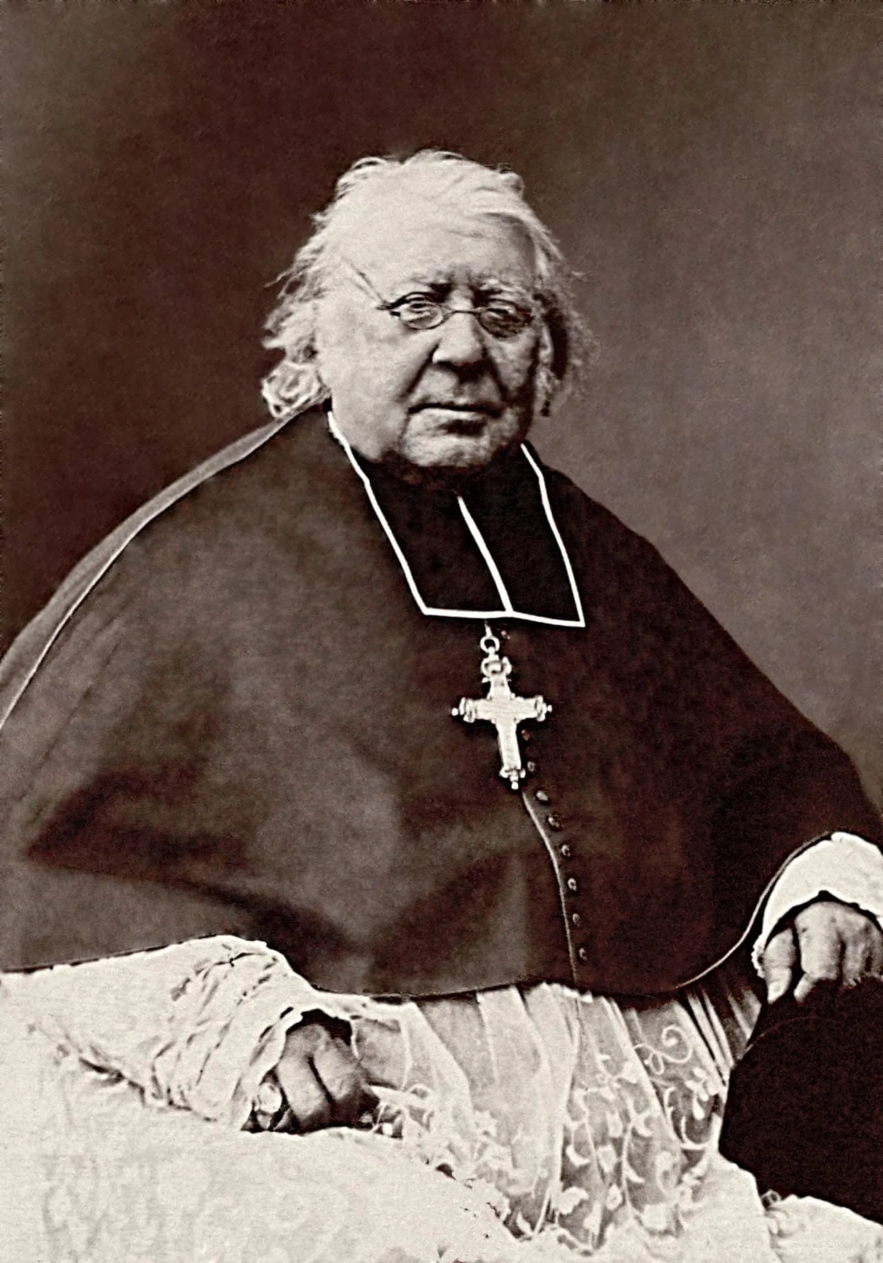 Portrait of François-Auguste-Ferdinand Donnet (1795–1882) – memorial page