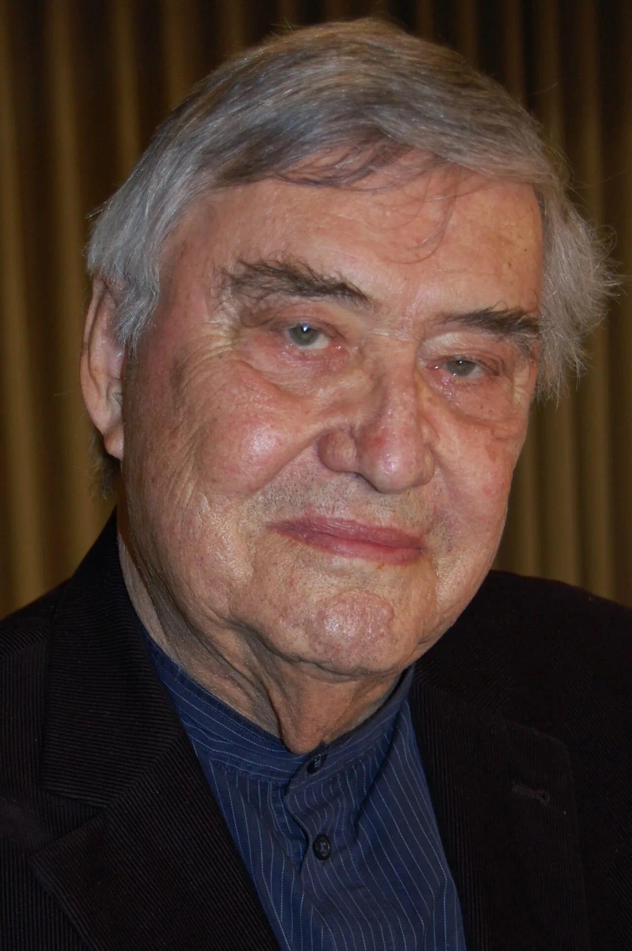 Porträt von Peter Härtling (1933–2017) – Gedenkseite