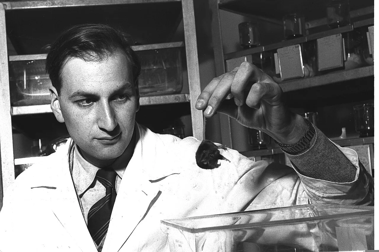 Porträt von Leo Sachs (1924–2013) – Gedenkseite