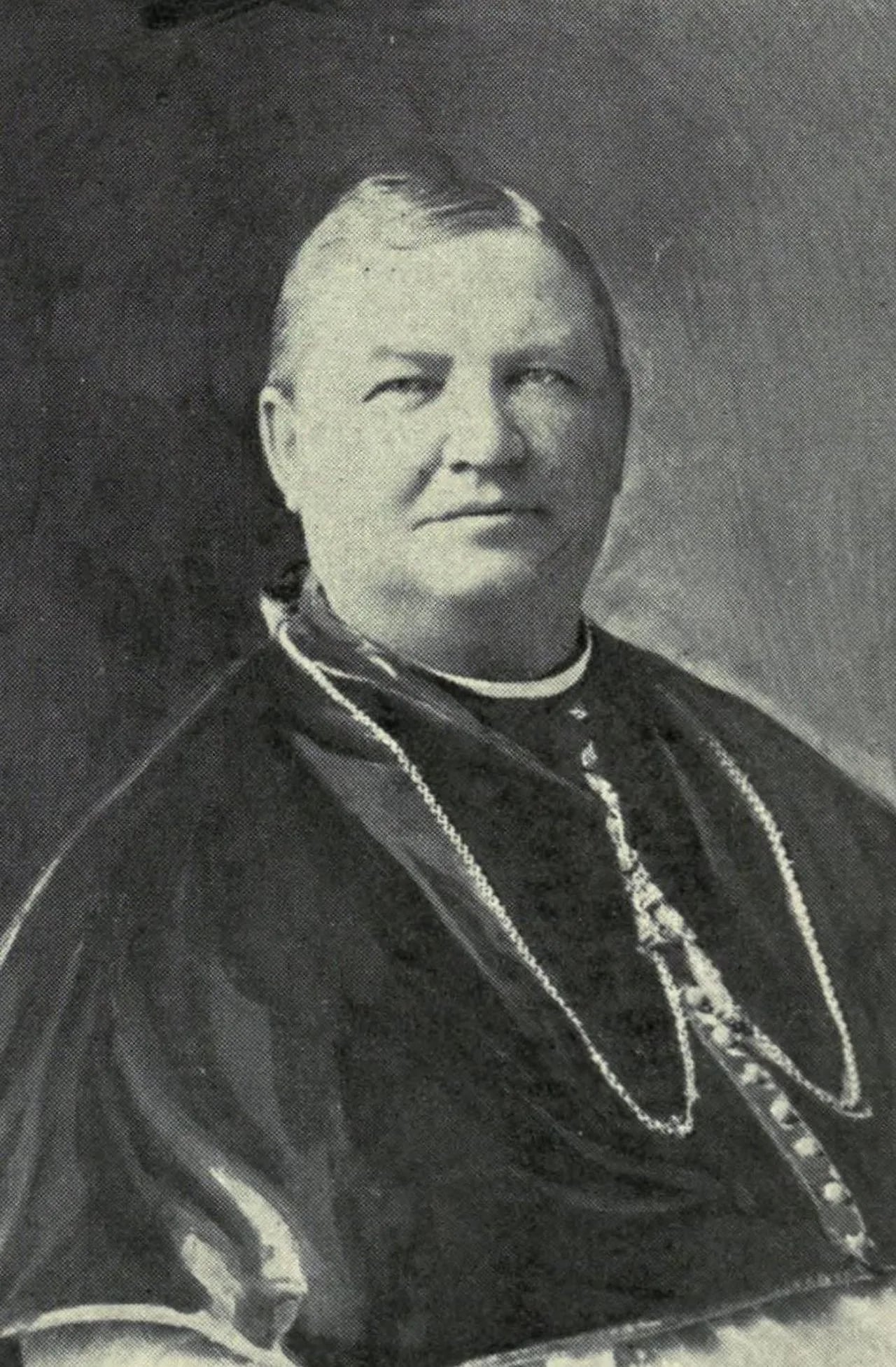 Portrait of Theophile Meerschaert (1847–1924) – memorial page