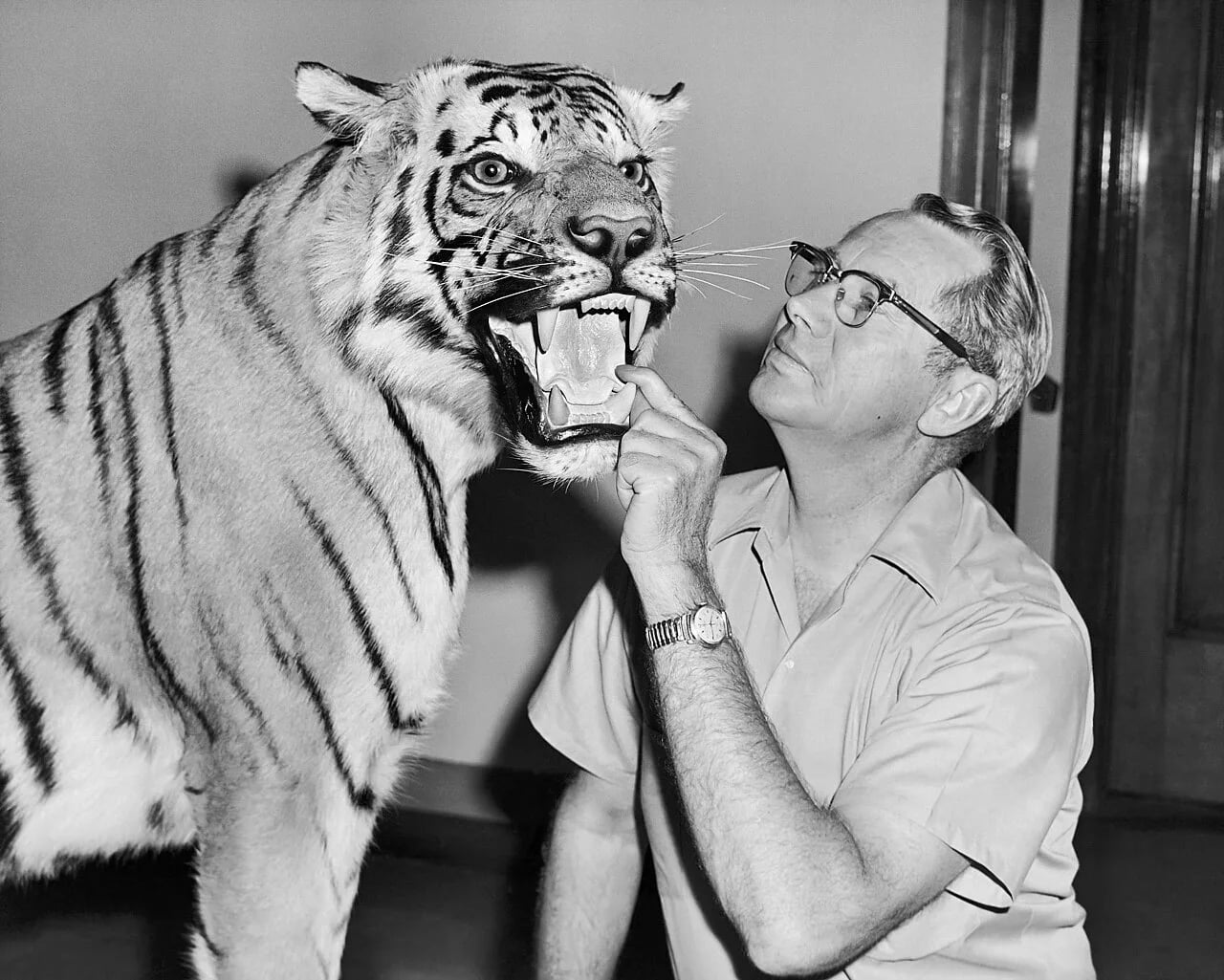 Portrait of Wilmer W. Tanner (1909–2011) – memorial page