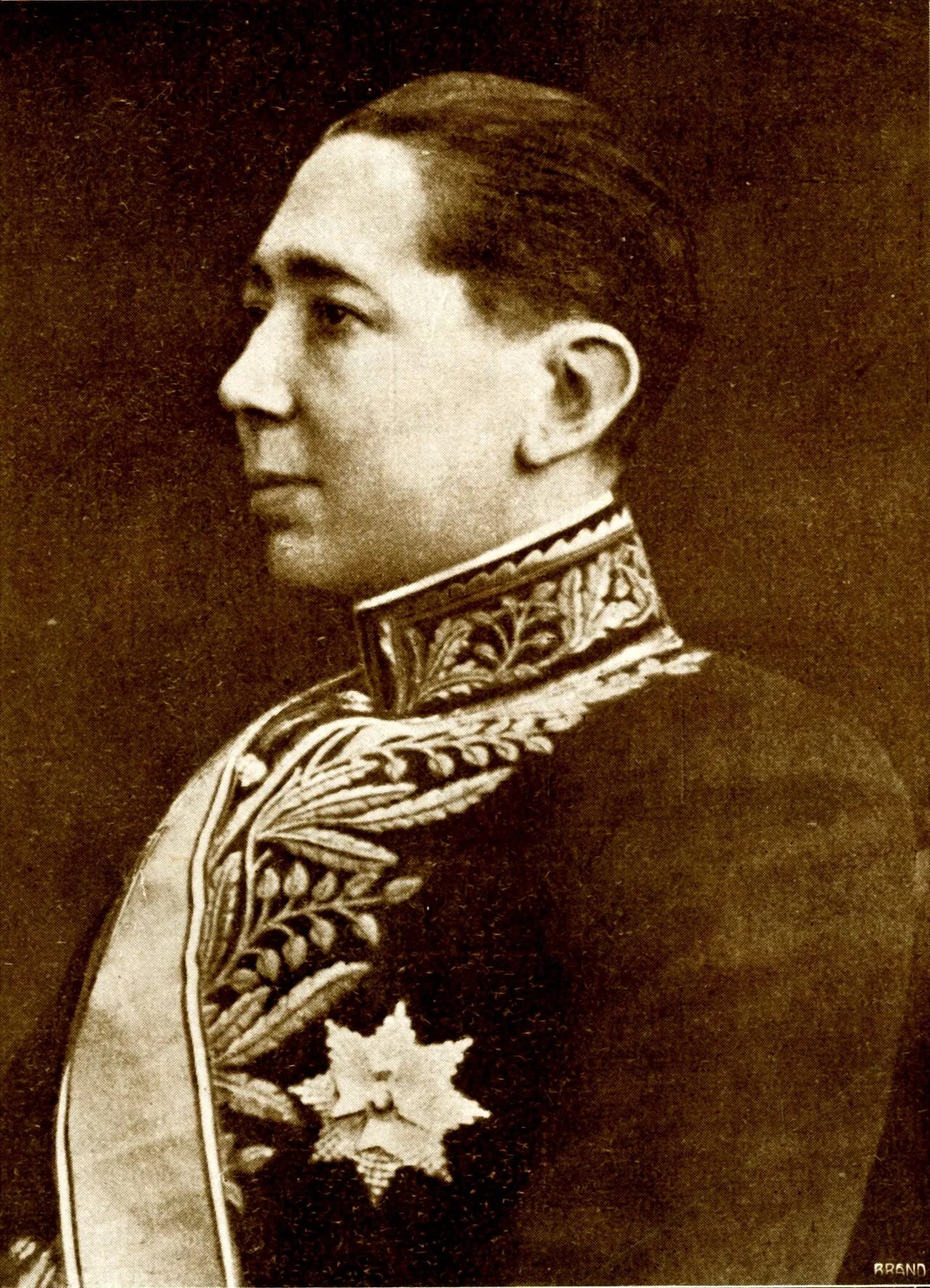 Porträt von Nicolae Titulescu (1882–1941) – Gedenkseite