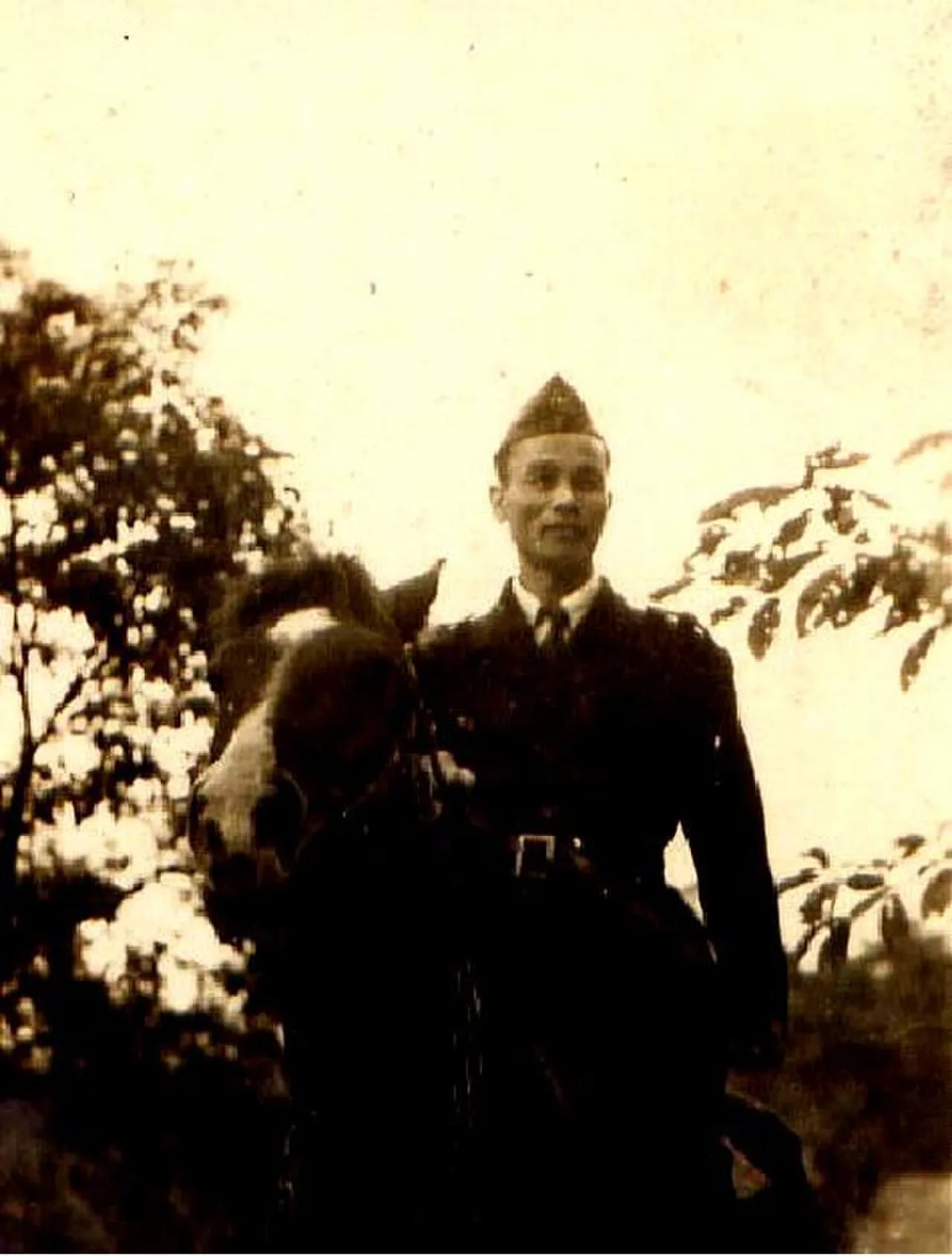 Portrait of Tran Tu Binh (1907–1967) – memorial page
