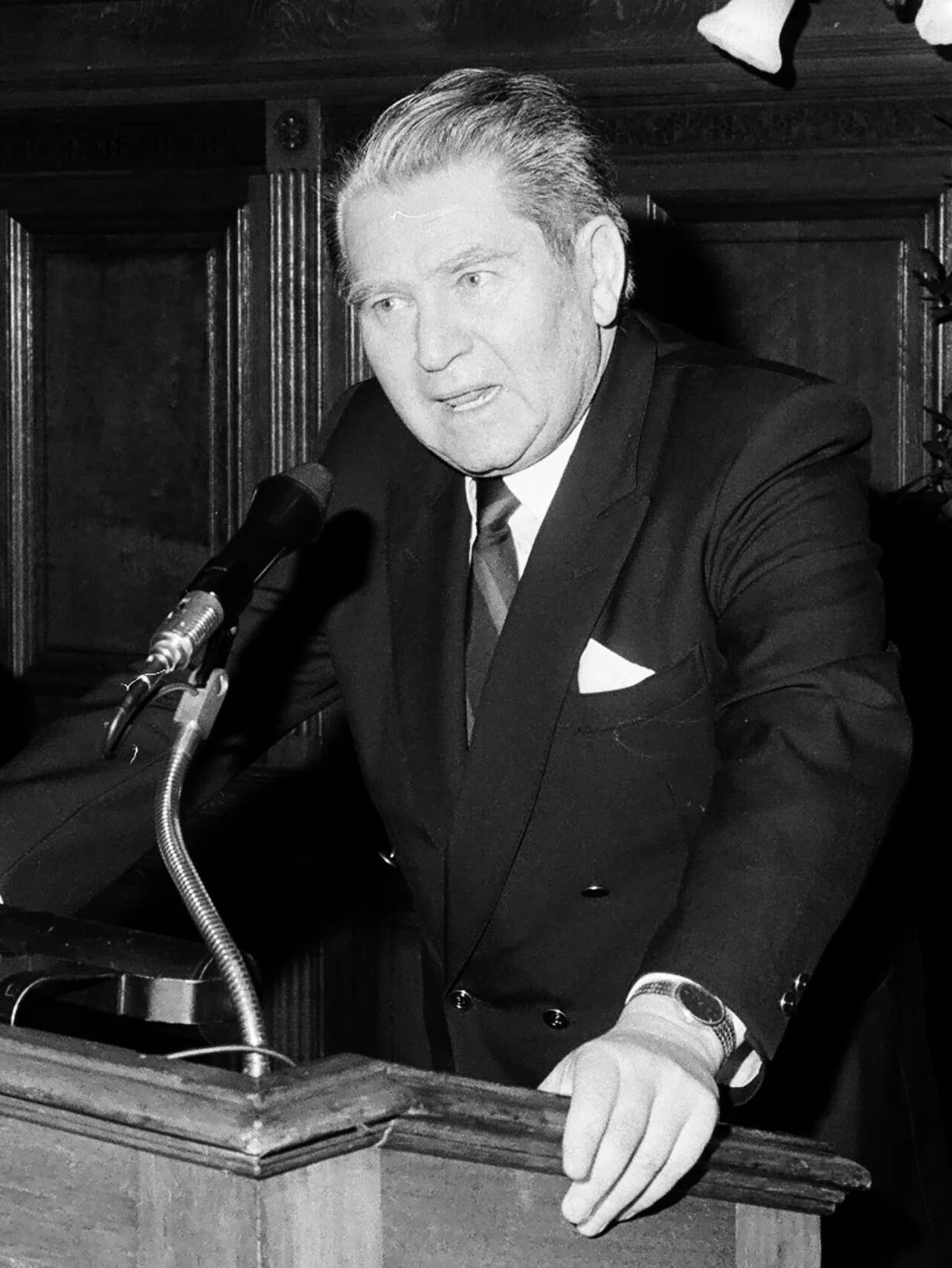 Portrait of Andreas Rett (1924–2024) – memorial page