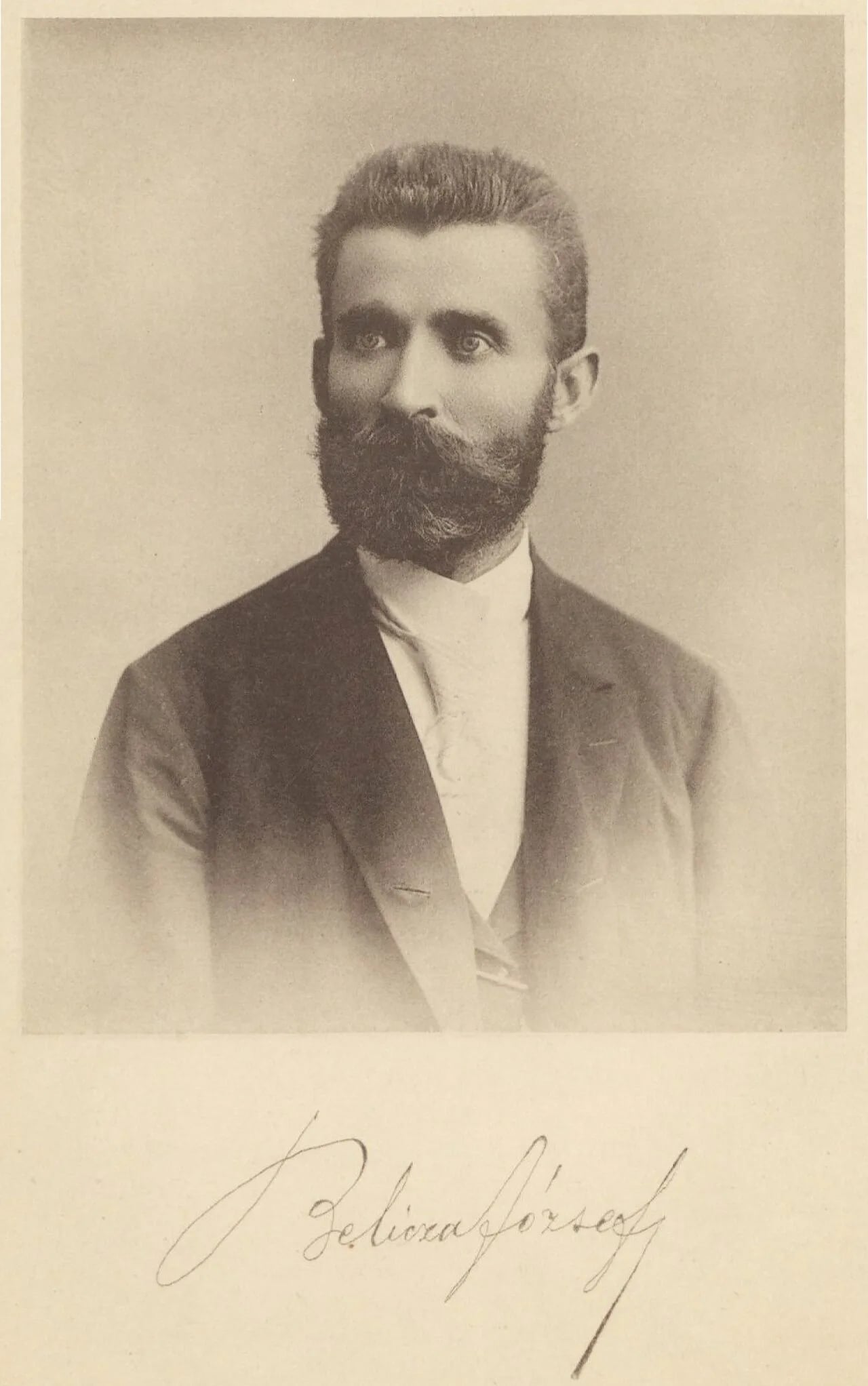 Porträt von József Belicza (1848–1890) – Gedenkseite