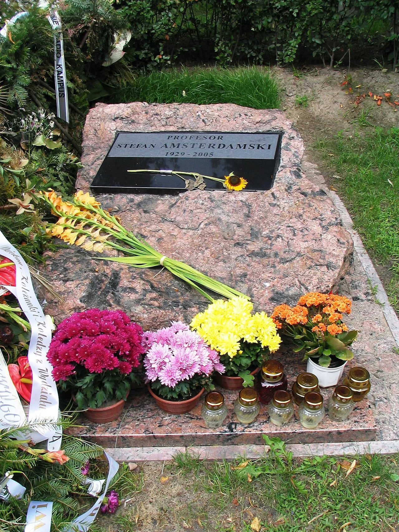 Portrait of Stefan Amsterdamski (1929–2005) – memorial page