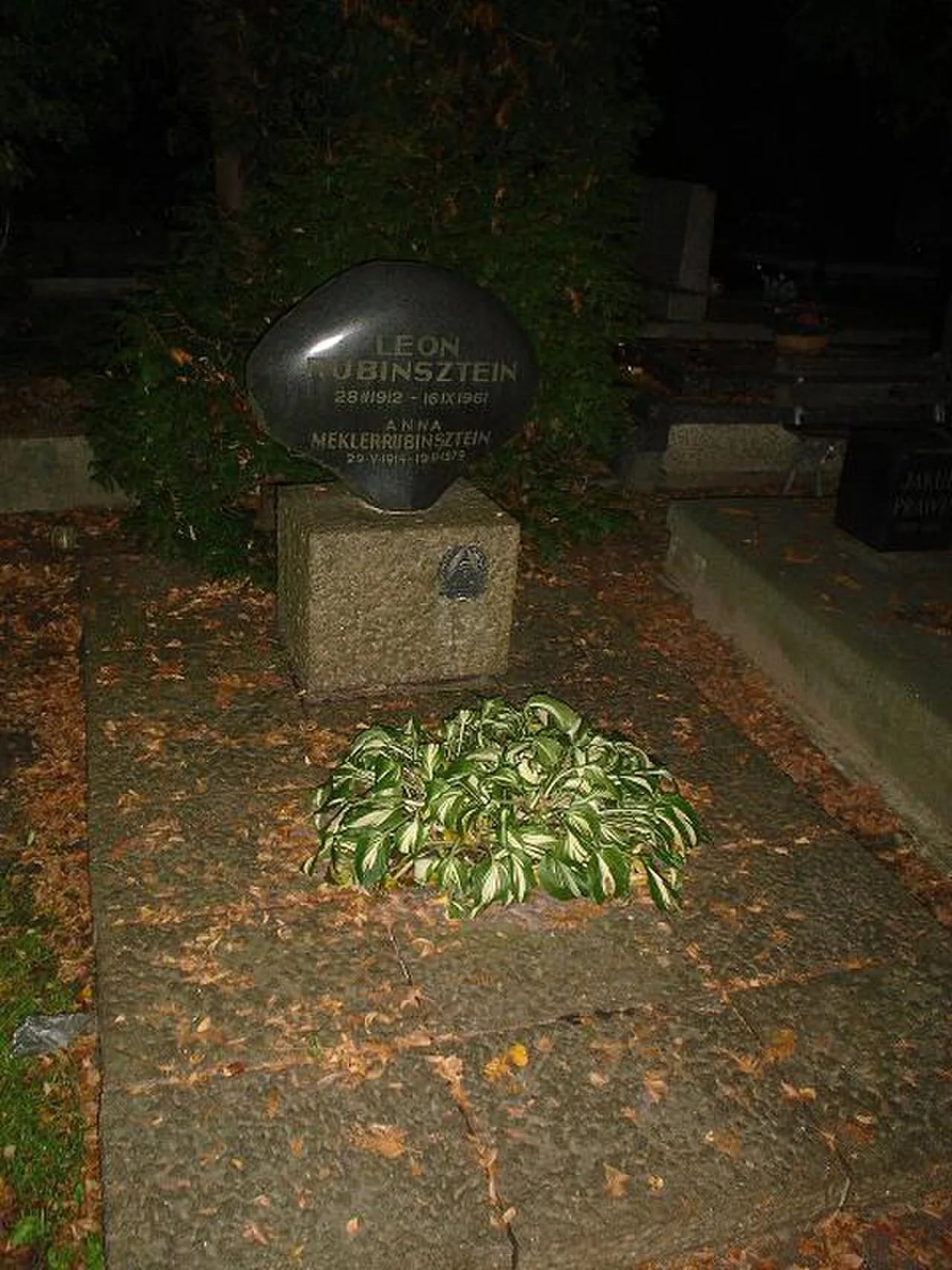 Portrait of Leon Rubinsztein (1912–1961) – memorial page