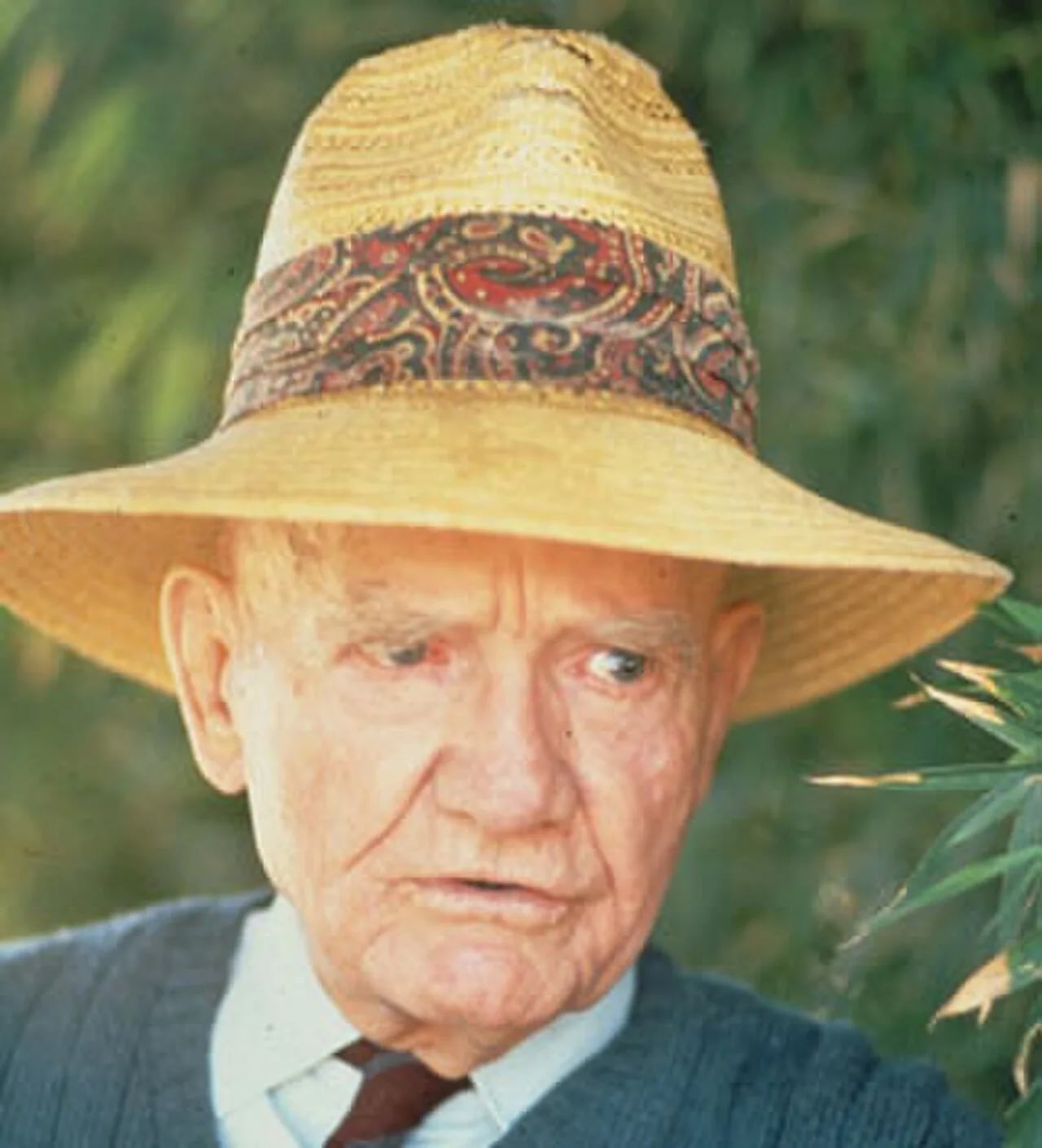 Portrait of Wallace Pratt (1885–1981) – memorial page