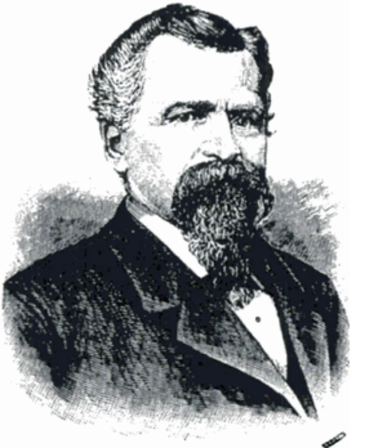 Portrait of Wayland Hoyt (1838–1910) – memorial page