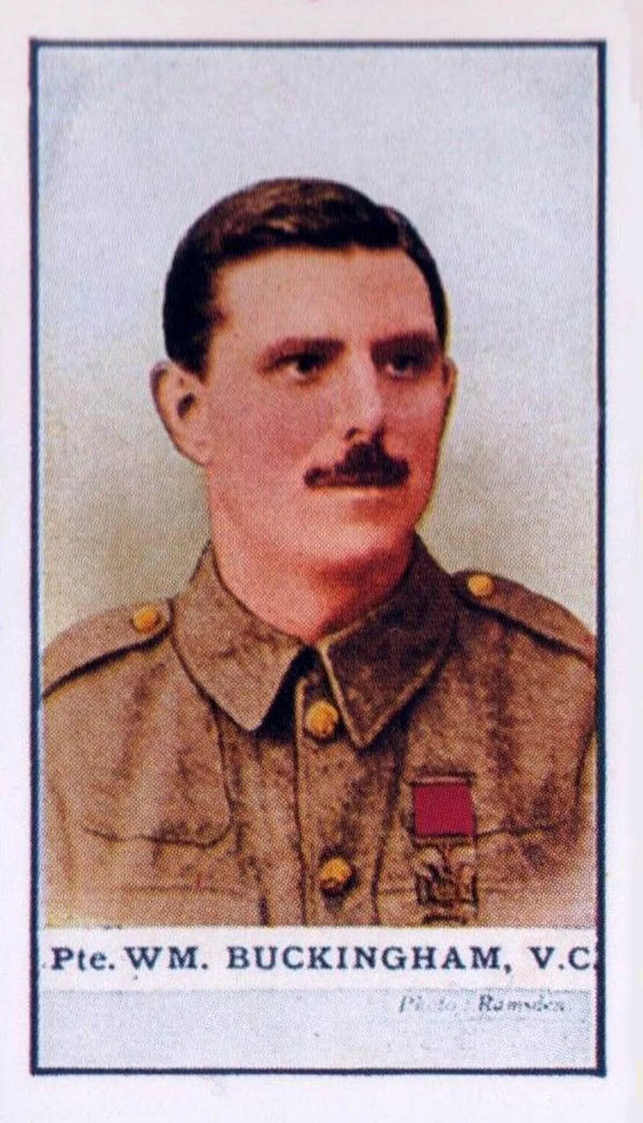 Porträt von William Buckingham (1886–1916) – Gedenkseite