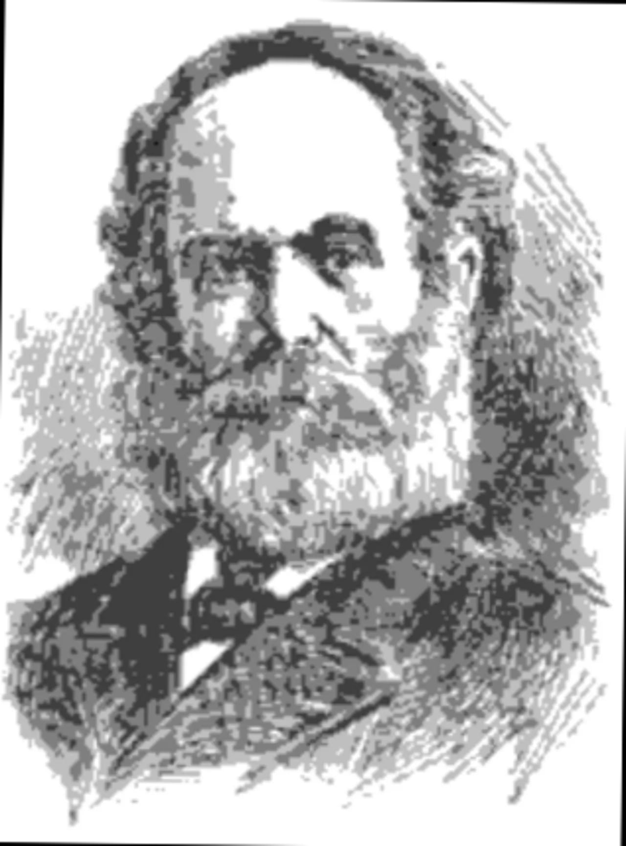 Porträt von William Cleaver Wilkinson (1833–1920) – Gedenkseite