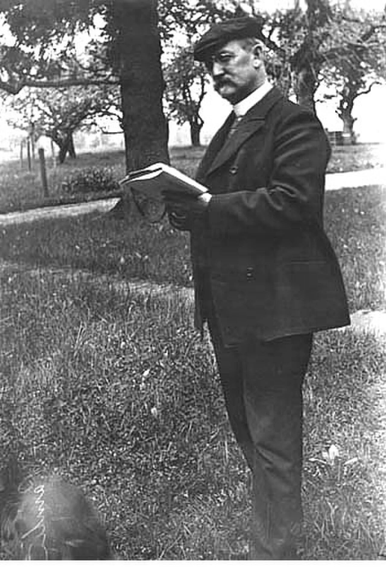 Porträt von William Henry Howe (1846–1929) – Gedenkseite