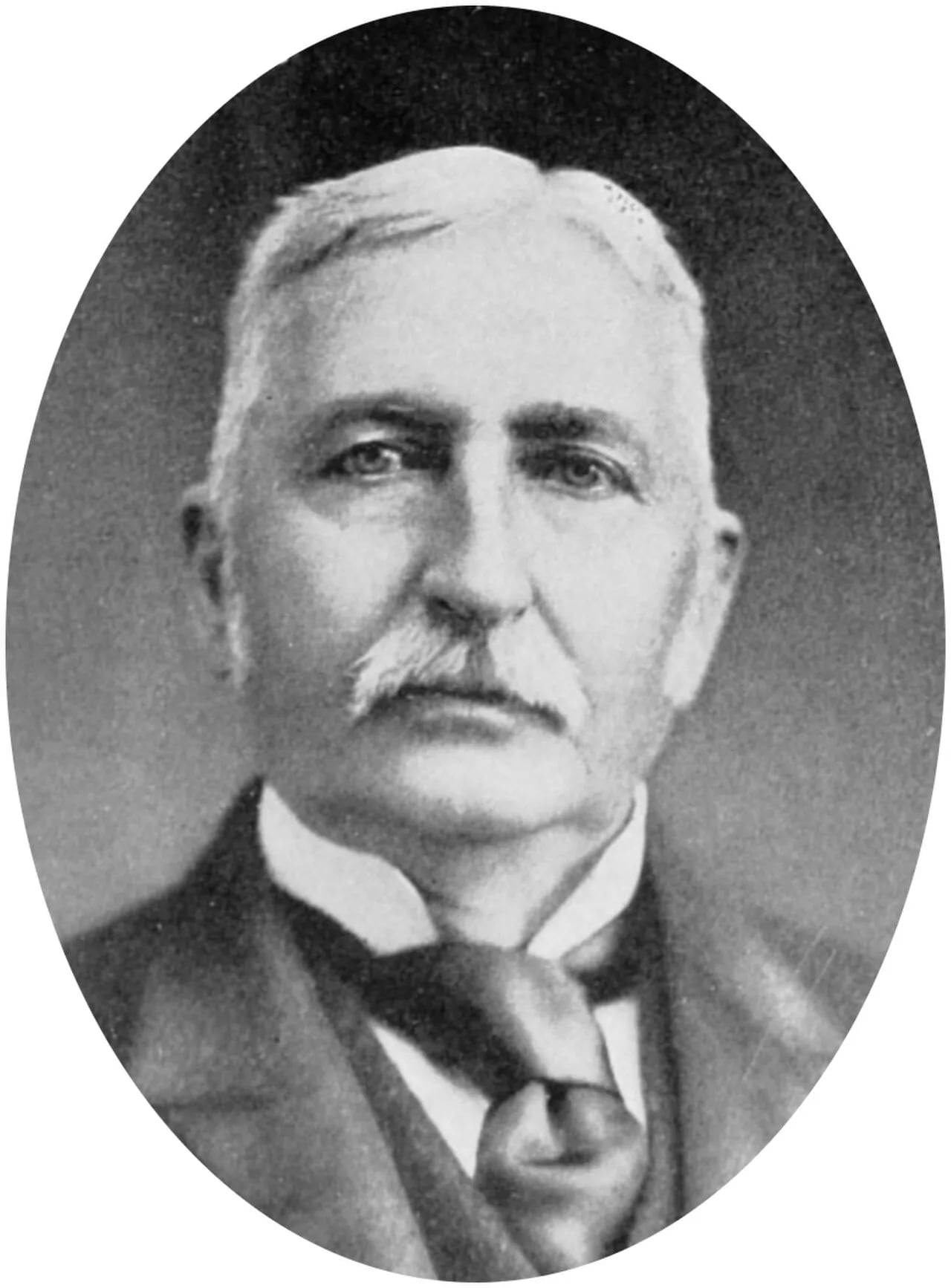 Portrait of William James Wallace (1837–1917) – memorial page