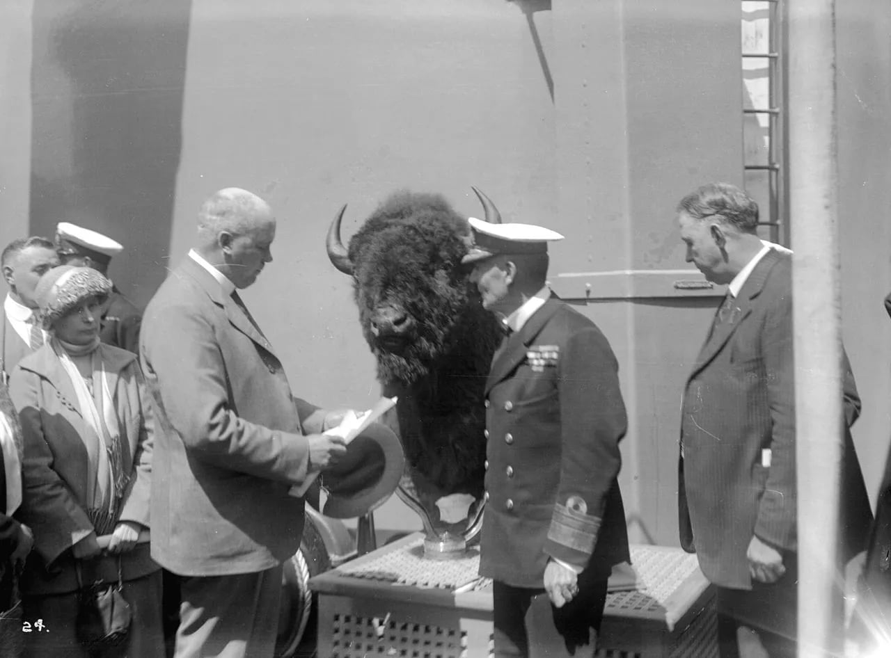 Portrait of William Reid Owen (1864–1949) – memorial page
