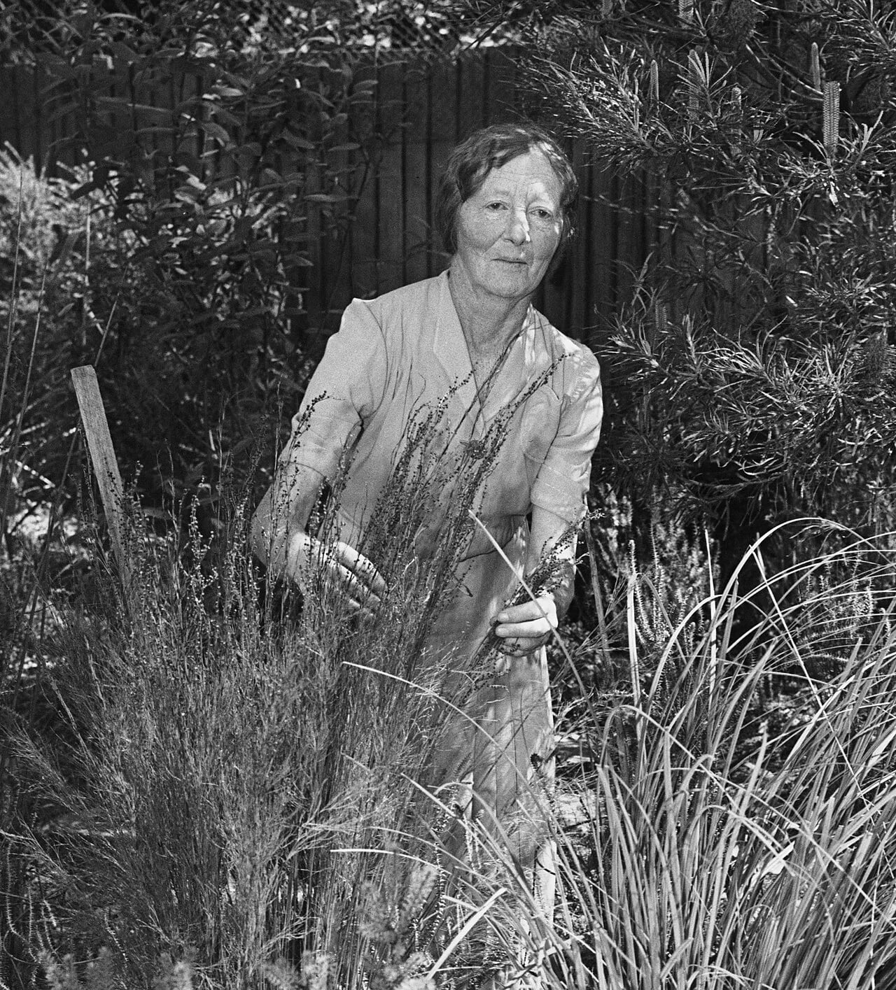 Portrait of Winifred Waddell (1884–1972) – memorial page