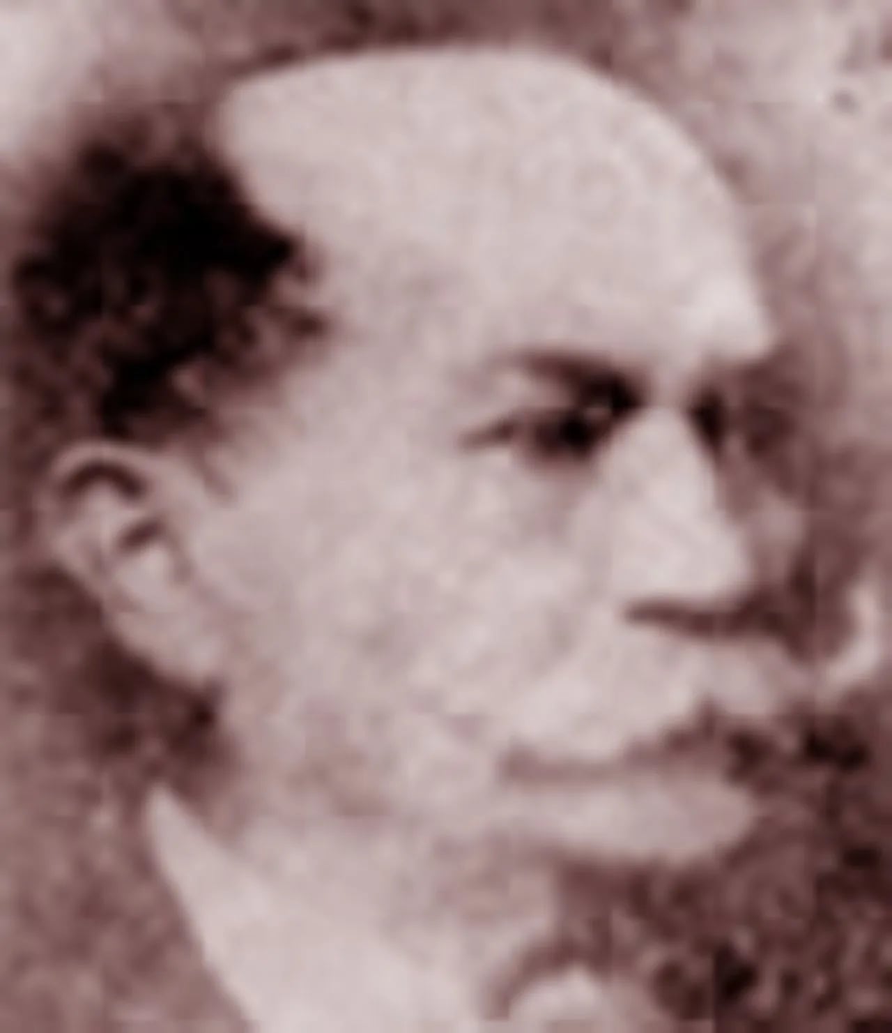 Porträt von Ángel Dolores Rojas (1851–1918) – Gedenkseite