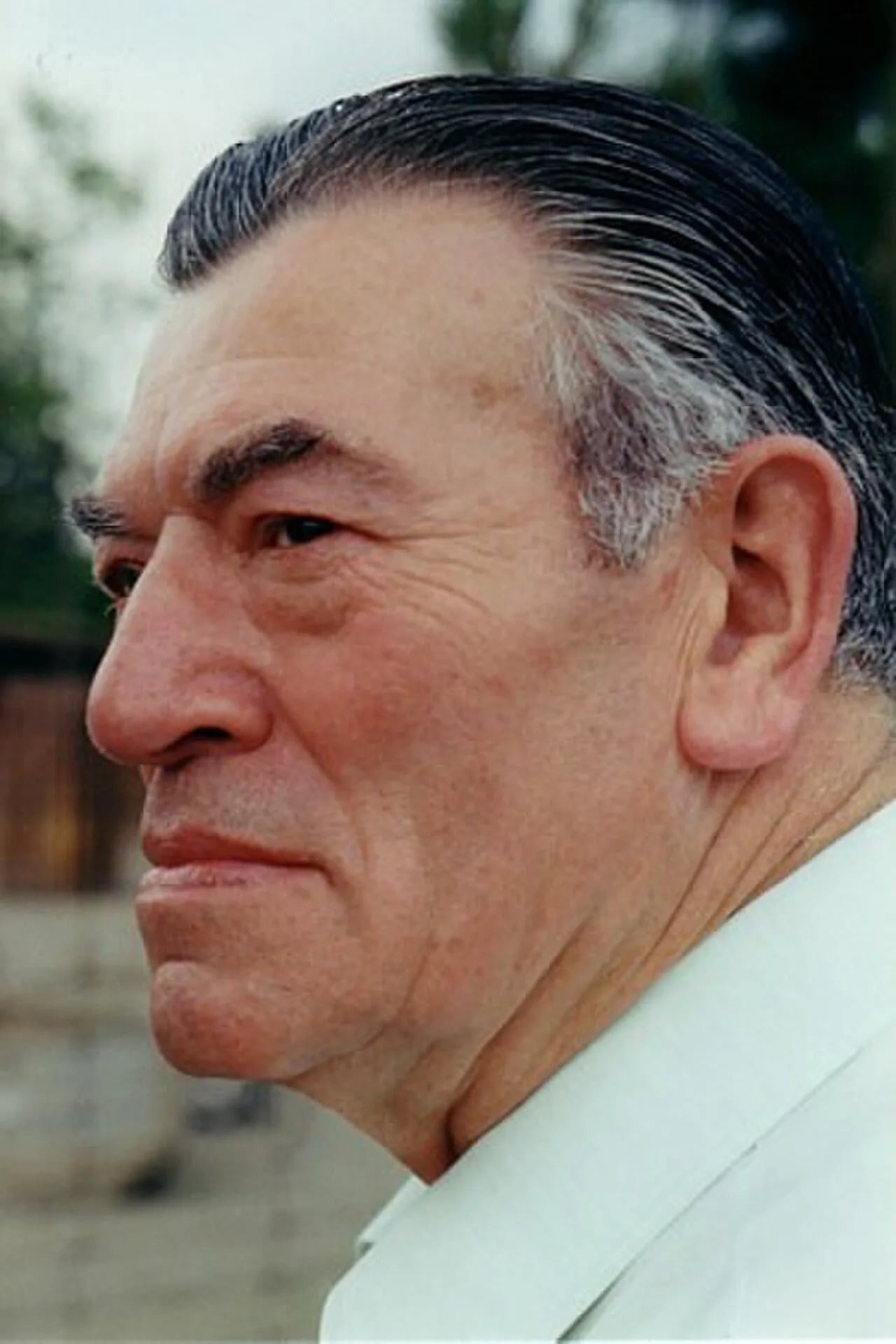 Portrait of Benno Niggemeyer (1912–1980) – memorial page