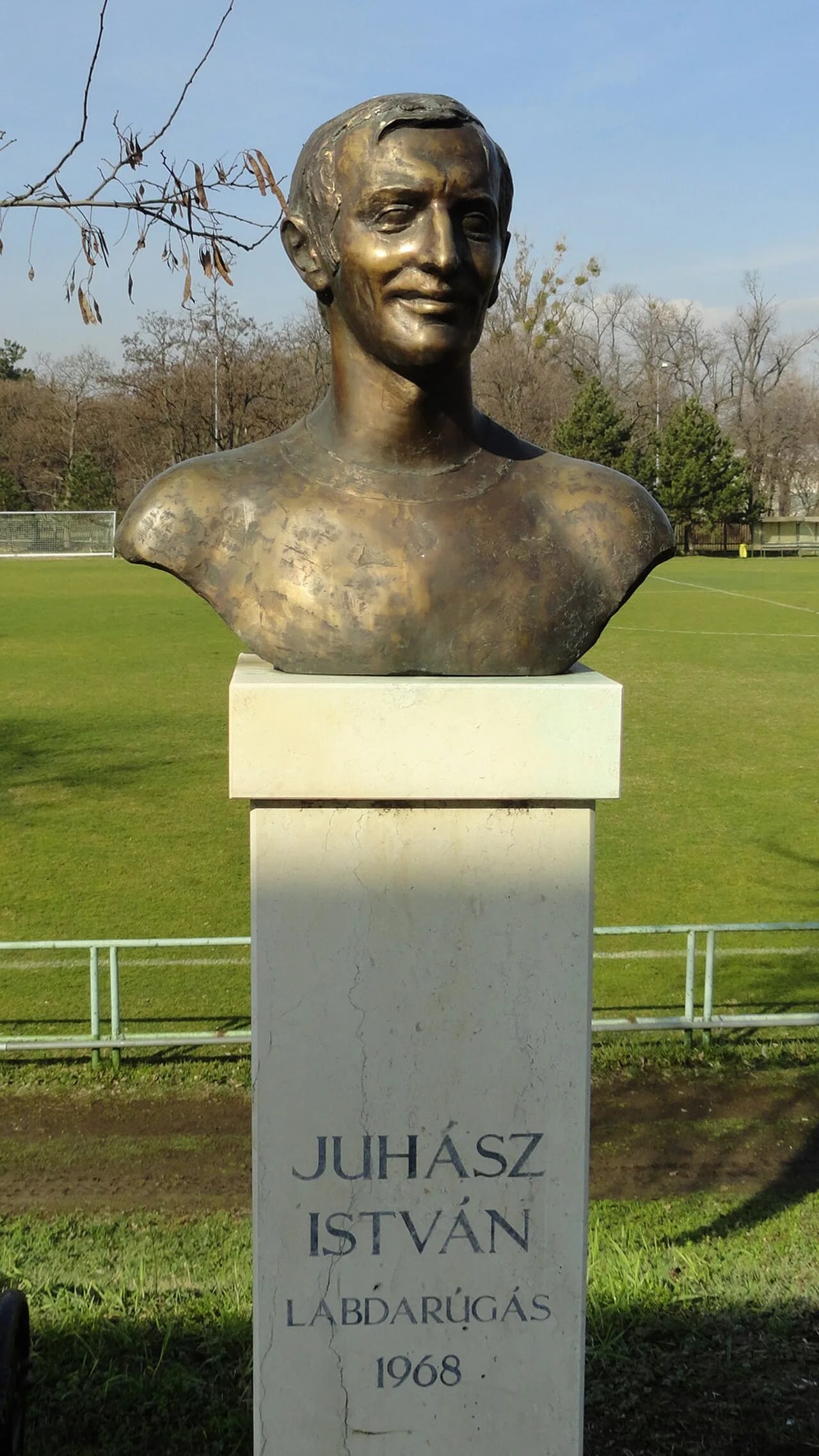 Portrait of István Juhász (1945–2024) – memorial page