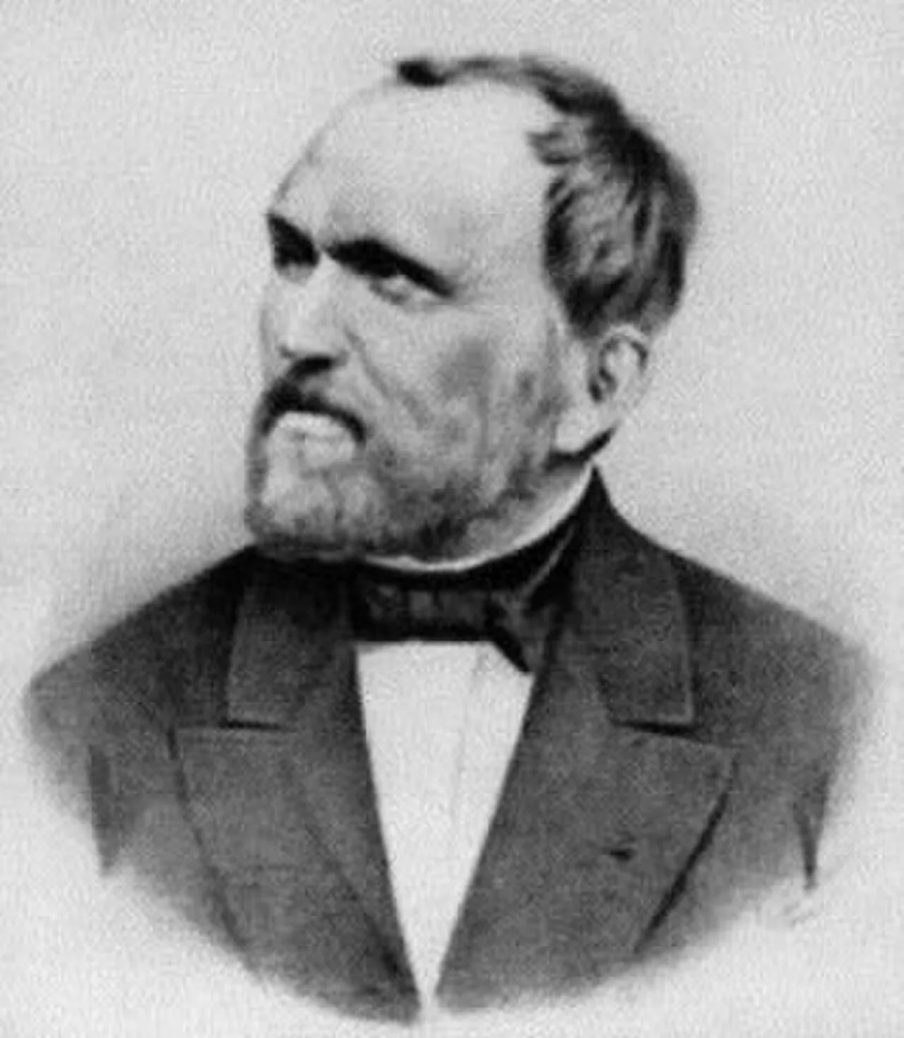 Porträt von Jan Schebek (1815–1889) – Gedenkseite