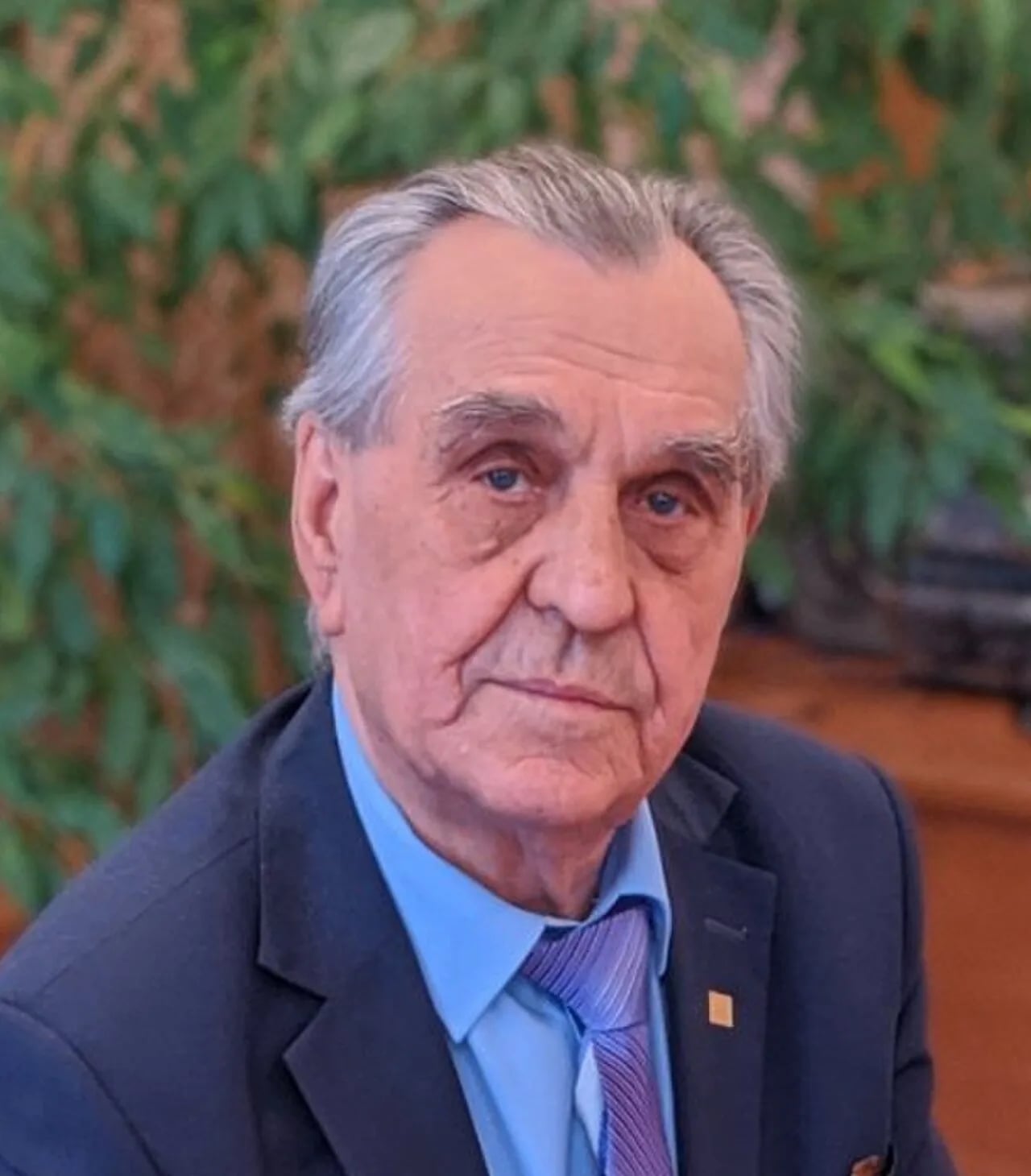 Porträt von Vladimir Panasin (1938–2020) – Gedenkseite