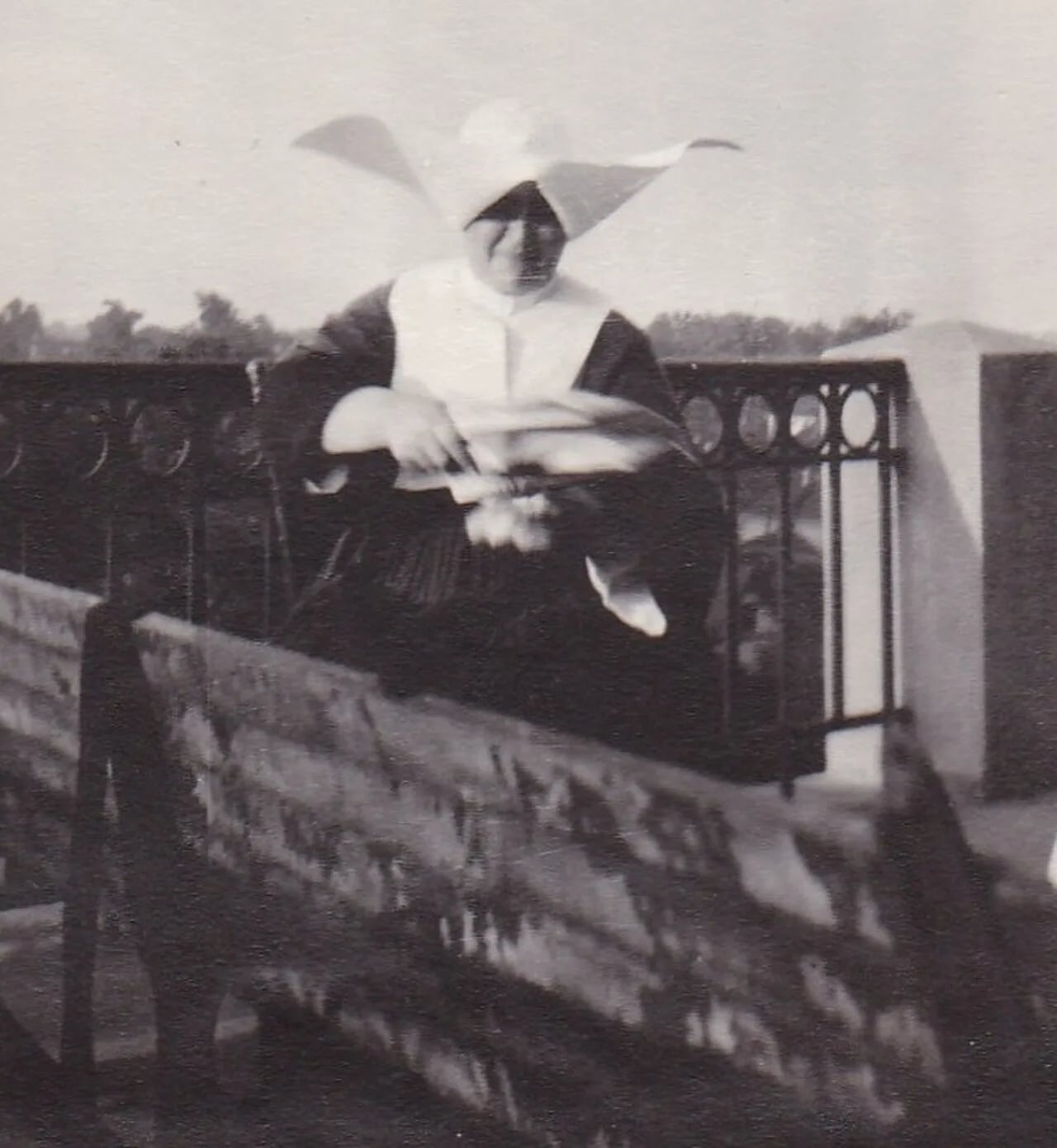 Portrait of Sister Regina Purtell (1866–1950) – memorial page