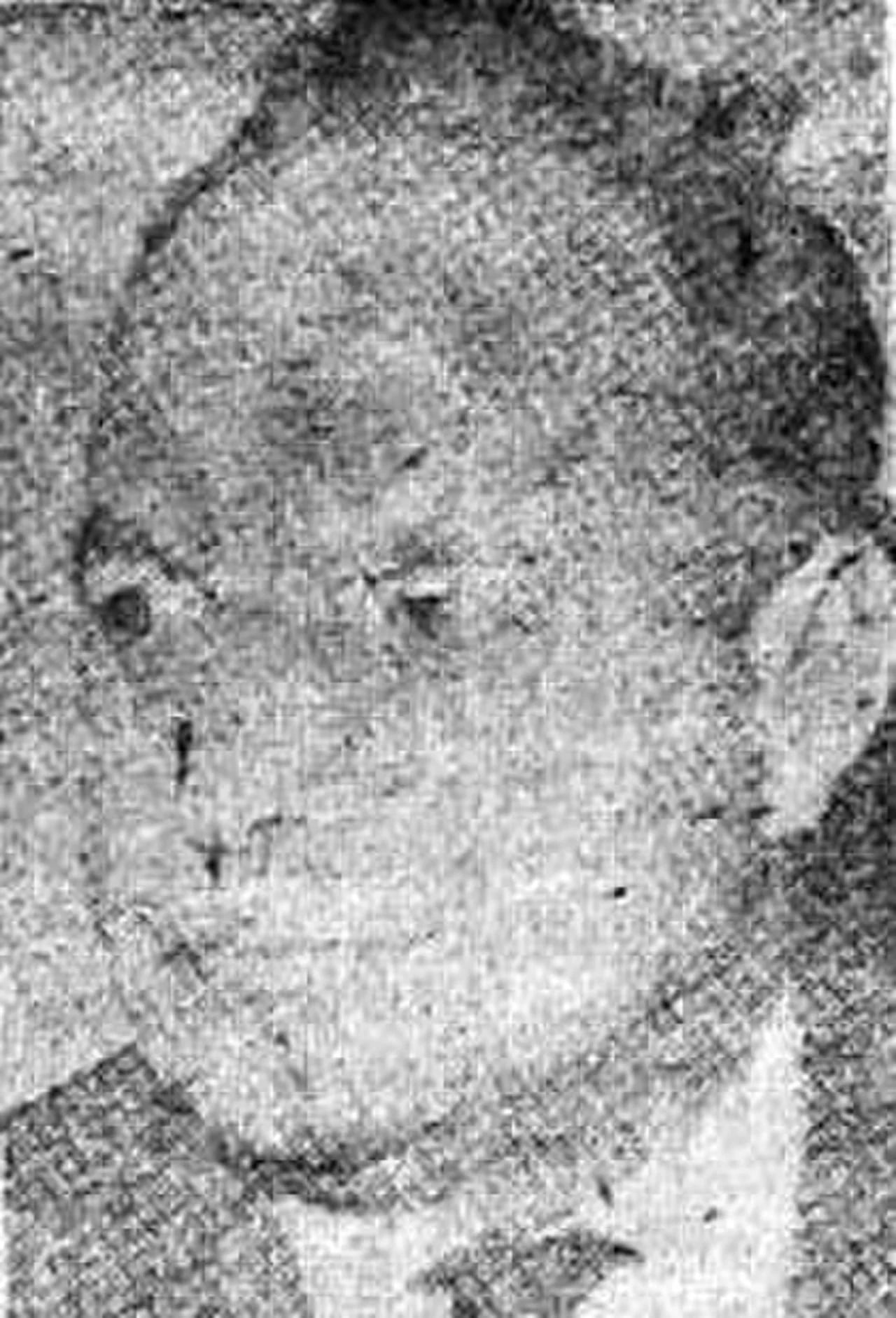 Portrait of Milan Mišković (1918–1978) – memorial page