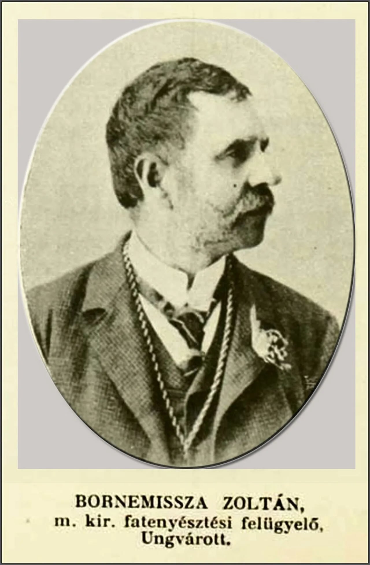 Portrait of Zoltan Bornemisza (1851–1927) – memorial page