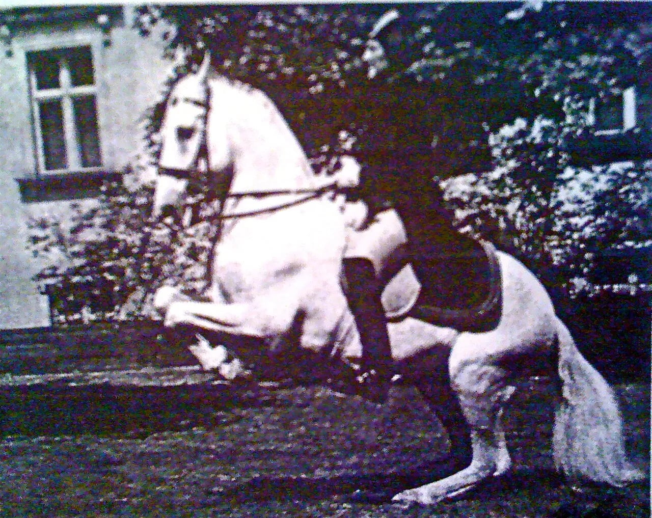 Porträt von Gottlieb Polak (1883–1942) – Gedenkseite