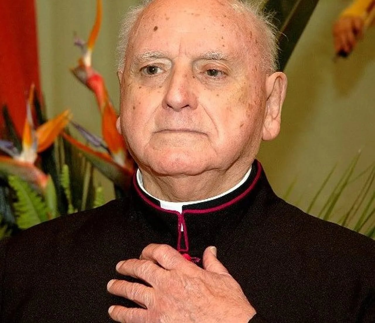 Portrait of Júlio da Rosa (1924–2015) – memorial page