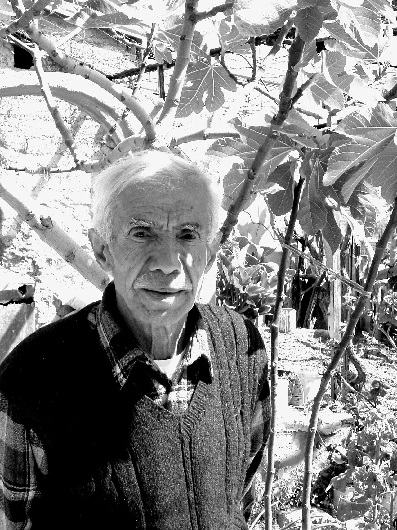Porträt von Abdul Hay Mosallam Zarara (1933–2020) – Gedenkseite