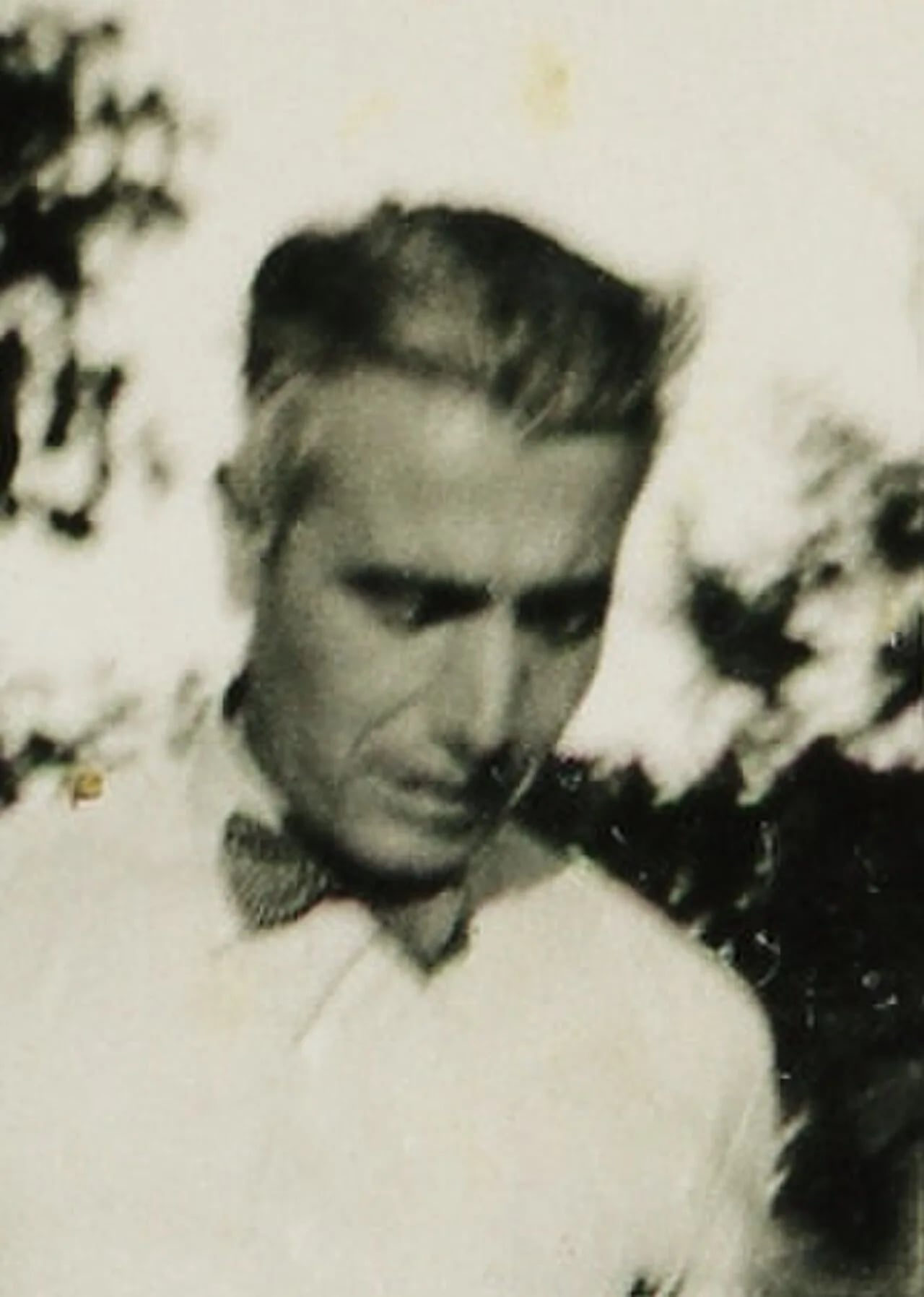 Portrait of Ernesto Canto da Maia (1890–1981) – memorial page