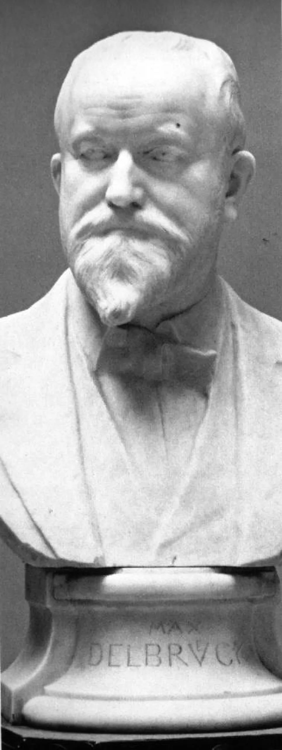 Porträt von Max Delbrück (1850–1919) – Gedenkseite