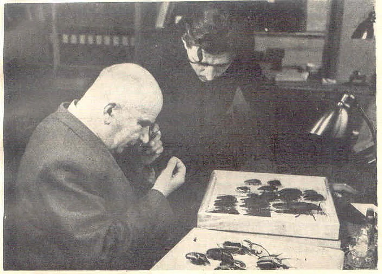 Porträt von Józef Makólski (1881–1954) – Gedenkseite