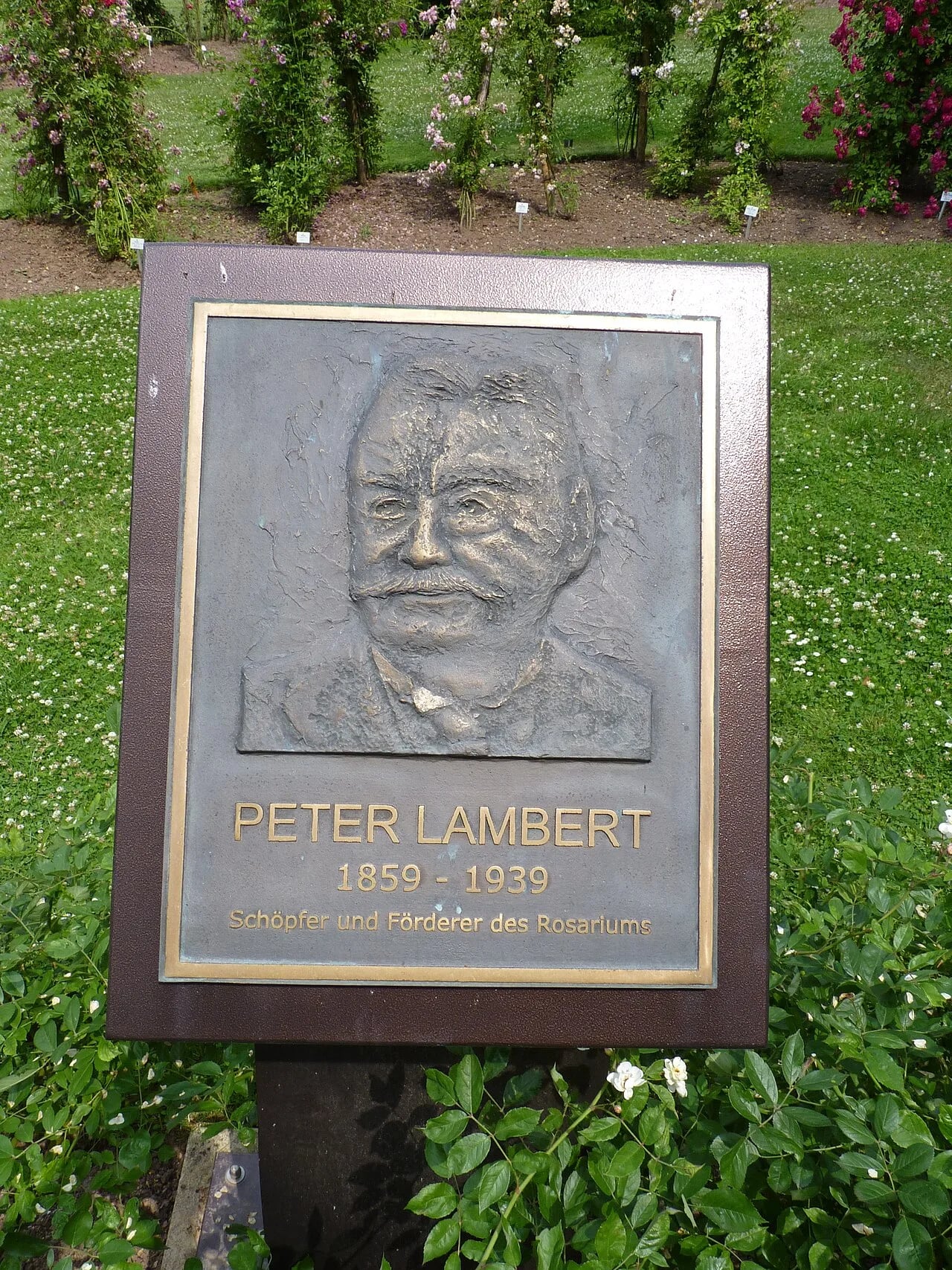 Porträt von Peter Lambert (1859–1939) – Gedenkseite