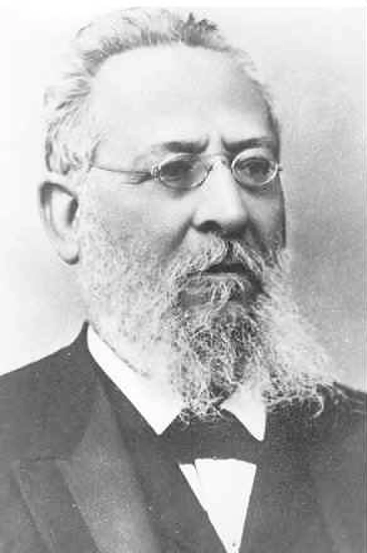 Porträt von Gaspar da Silveira Martins (1834–1901) – Gedenkseite