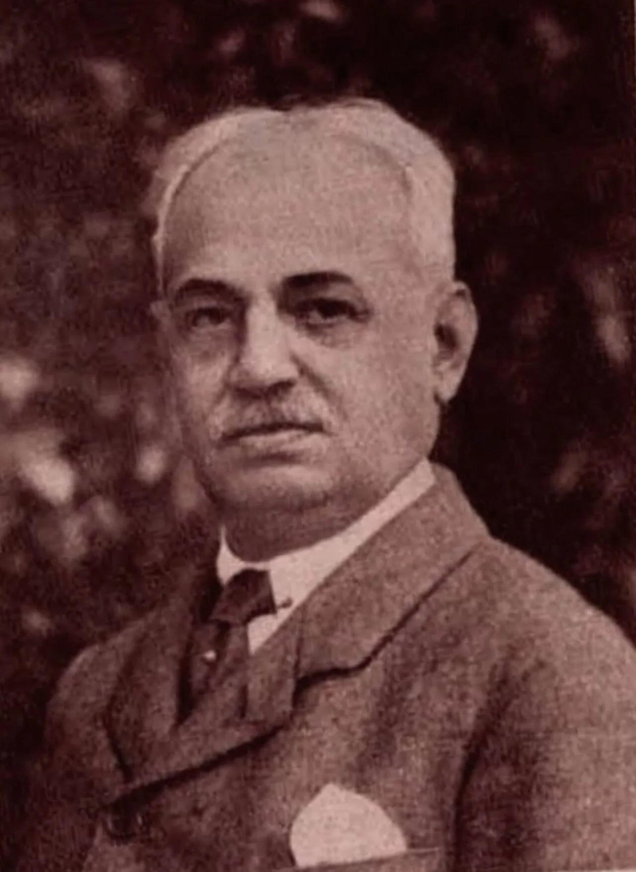 Portrait of Tivadar Friedrich (1862–1945) – memorial page